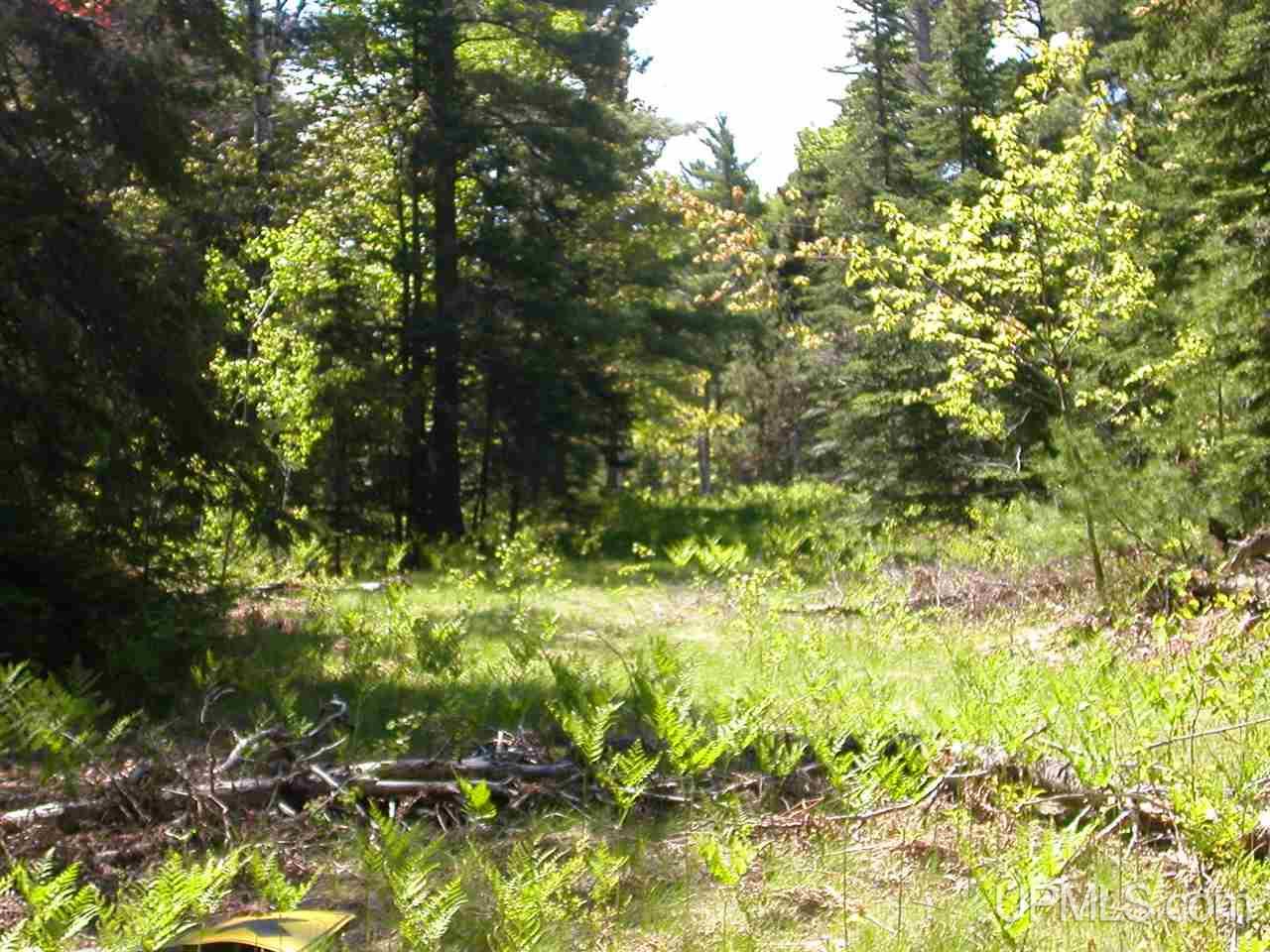 Lot 2 S Eliza Creek Lane, Eagle Harbor, MI, 49950