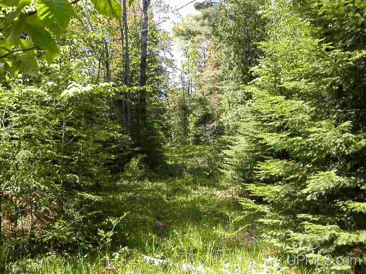 Lot 2 S Eliza Creek Lane, Eagle Harbor, MI, 49950