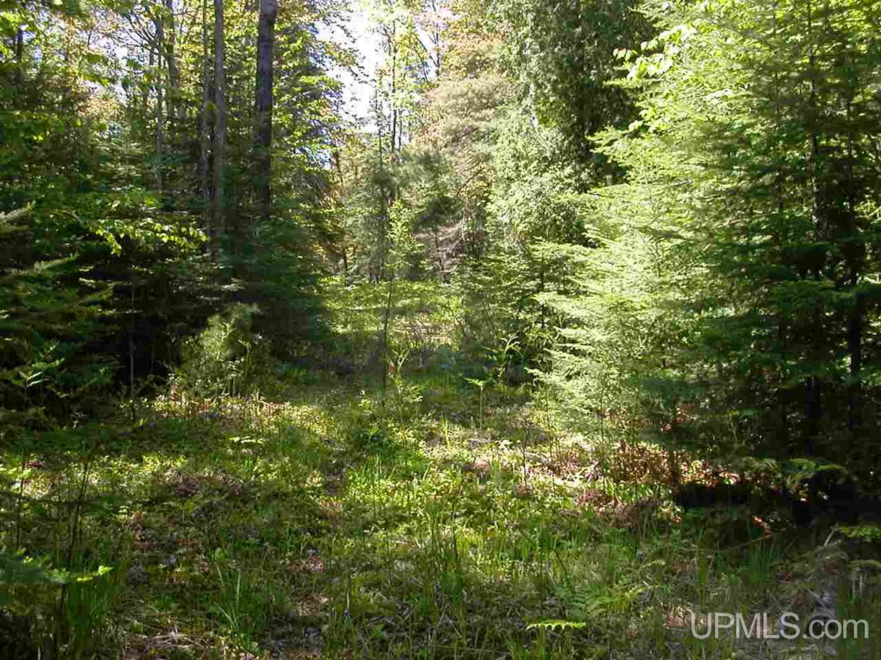 Lot 2 S Eliza Creek Lane, Eagle Harbor, MI, 49950