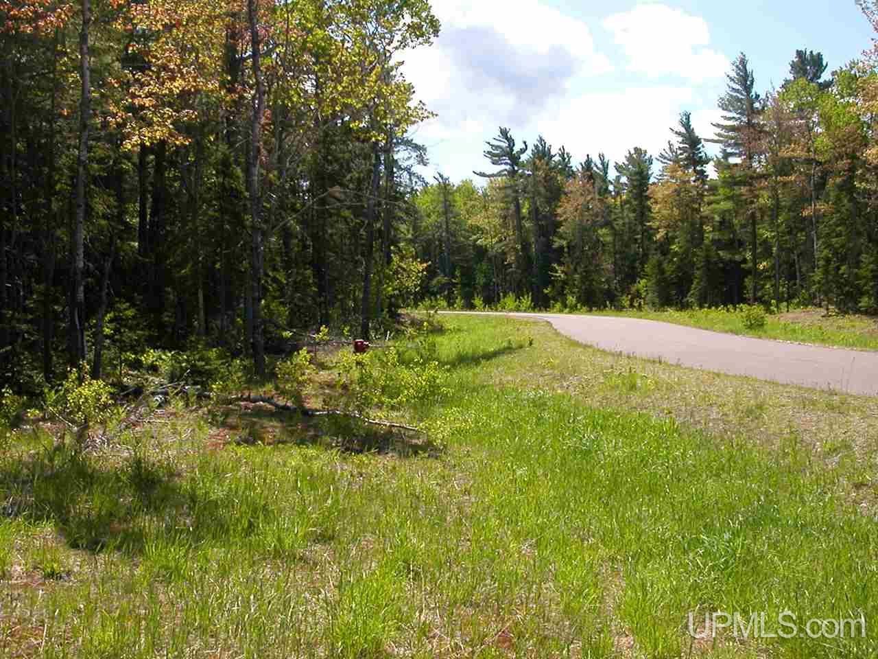 Lot 2 S Eliza Creek Lane, Eagle Harbor, MI, 49950