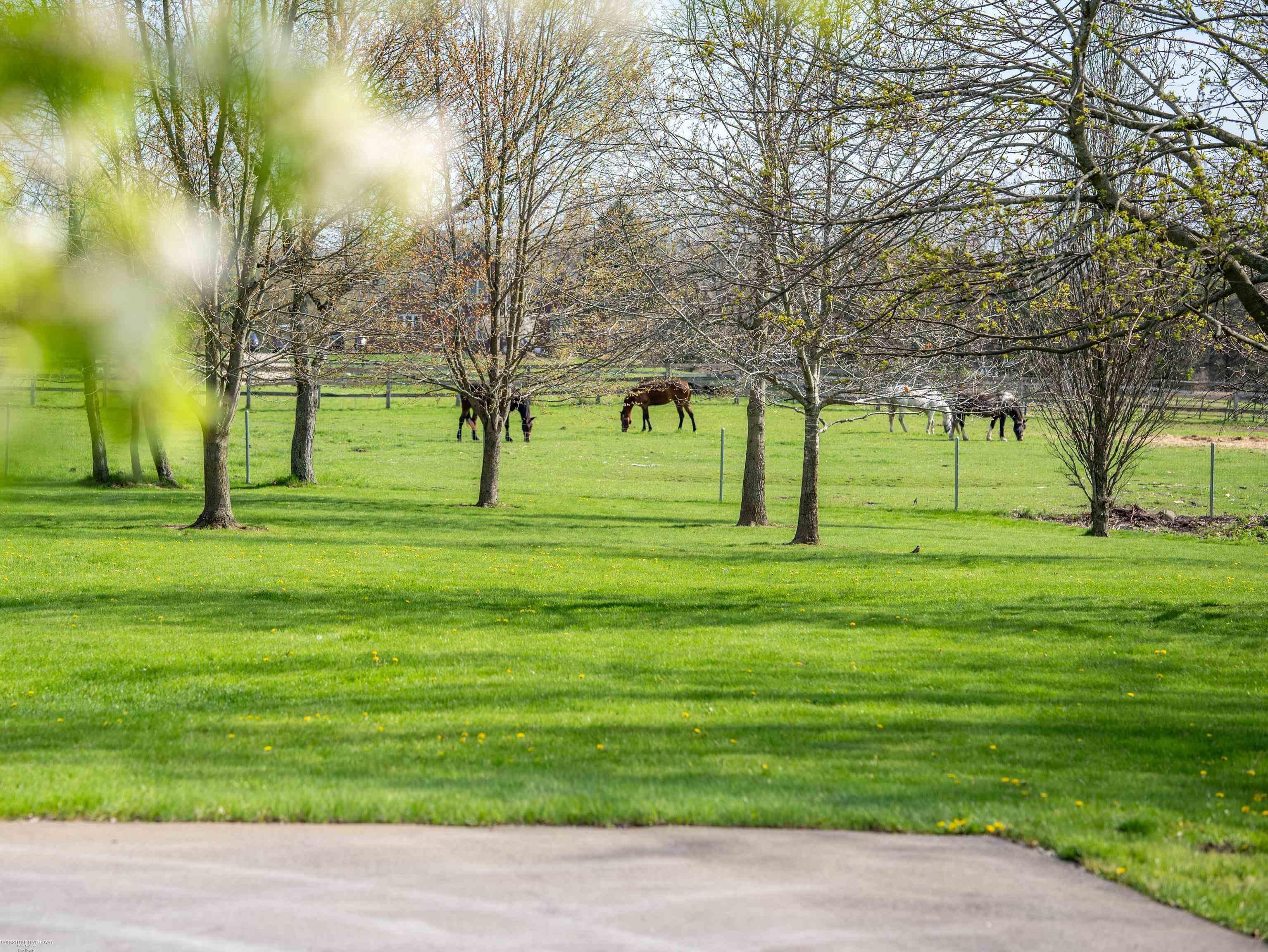 202 Donna Mae Drive, Leonard, MI, 48367