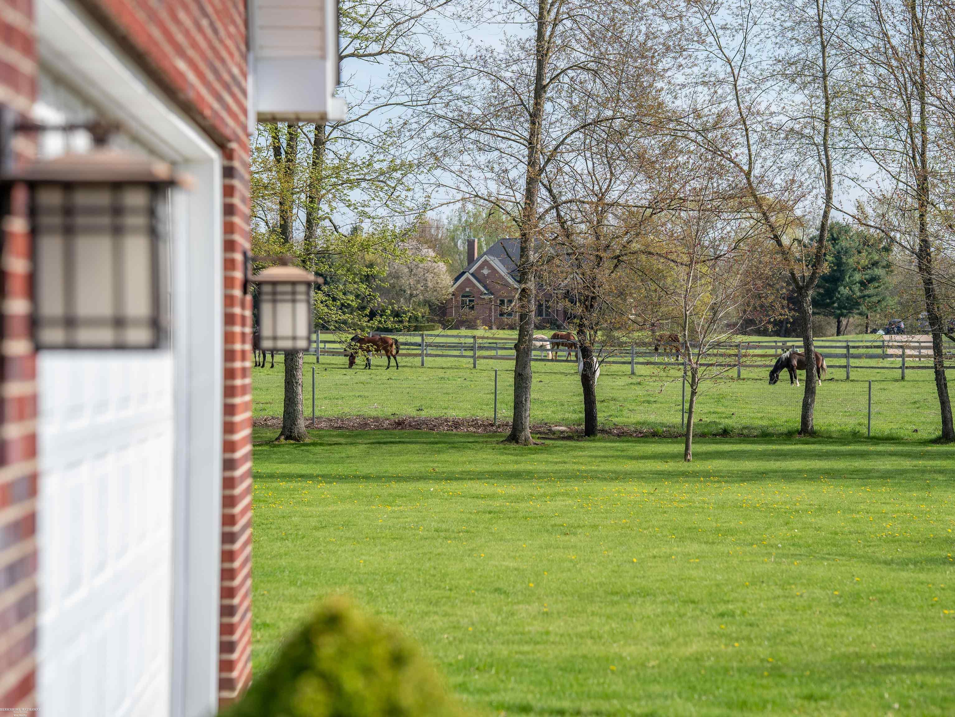 202 Donna Mae Drive, Leonard, MI, 48367