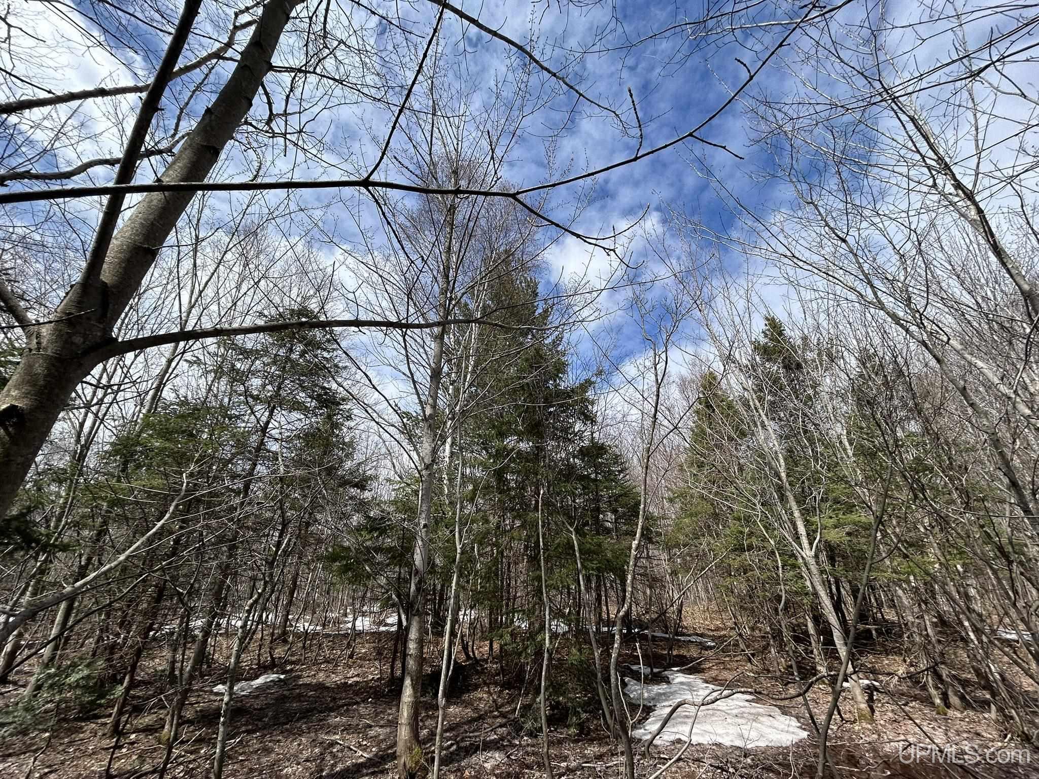 MLS 50205978 Large photo number 11 