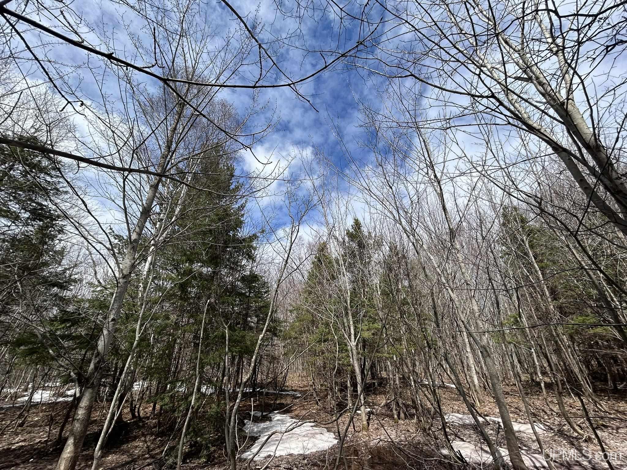 MLS 50205978 Large photo number 13 