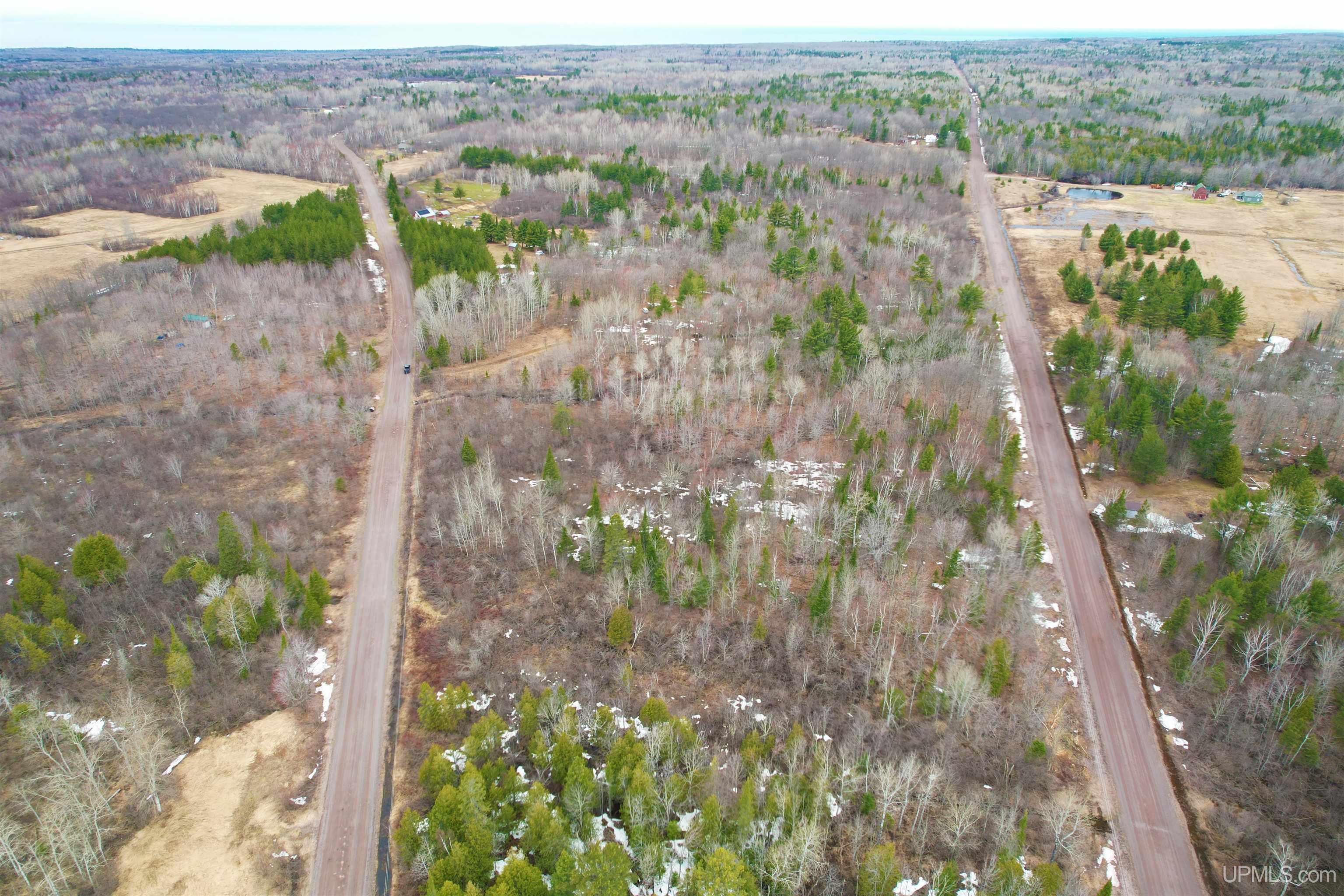 MLS 50205978 Large photo number 6 