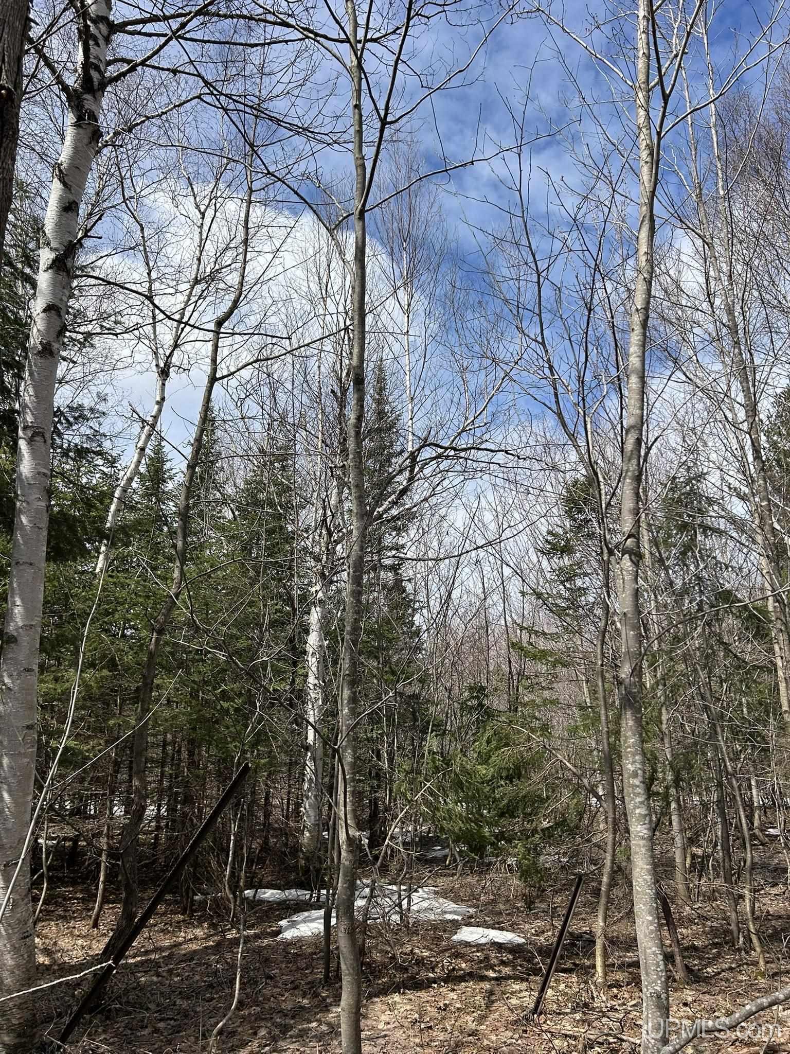 MLS 50205978 Large photo number 7 
