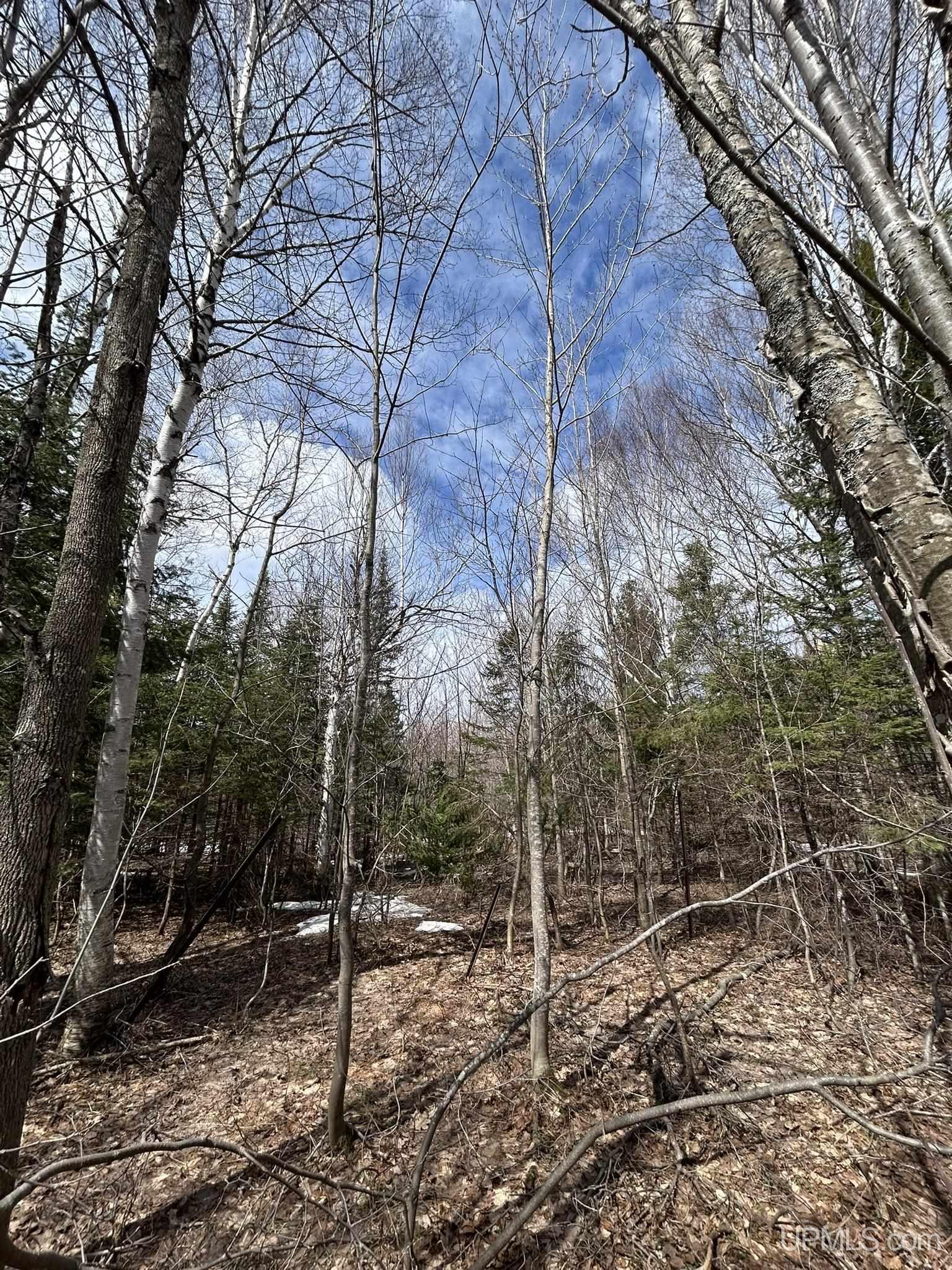 MLS 50205978 Large photo number 9 