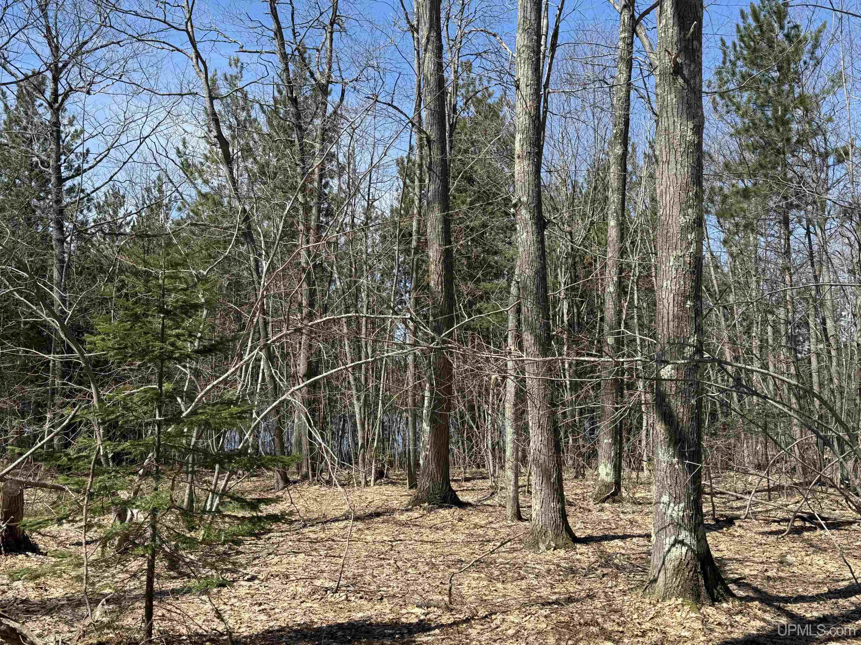 54821 S Tear Lake Road, Houghton, MI, 49931