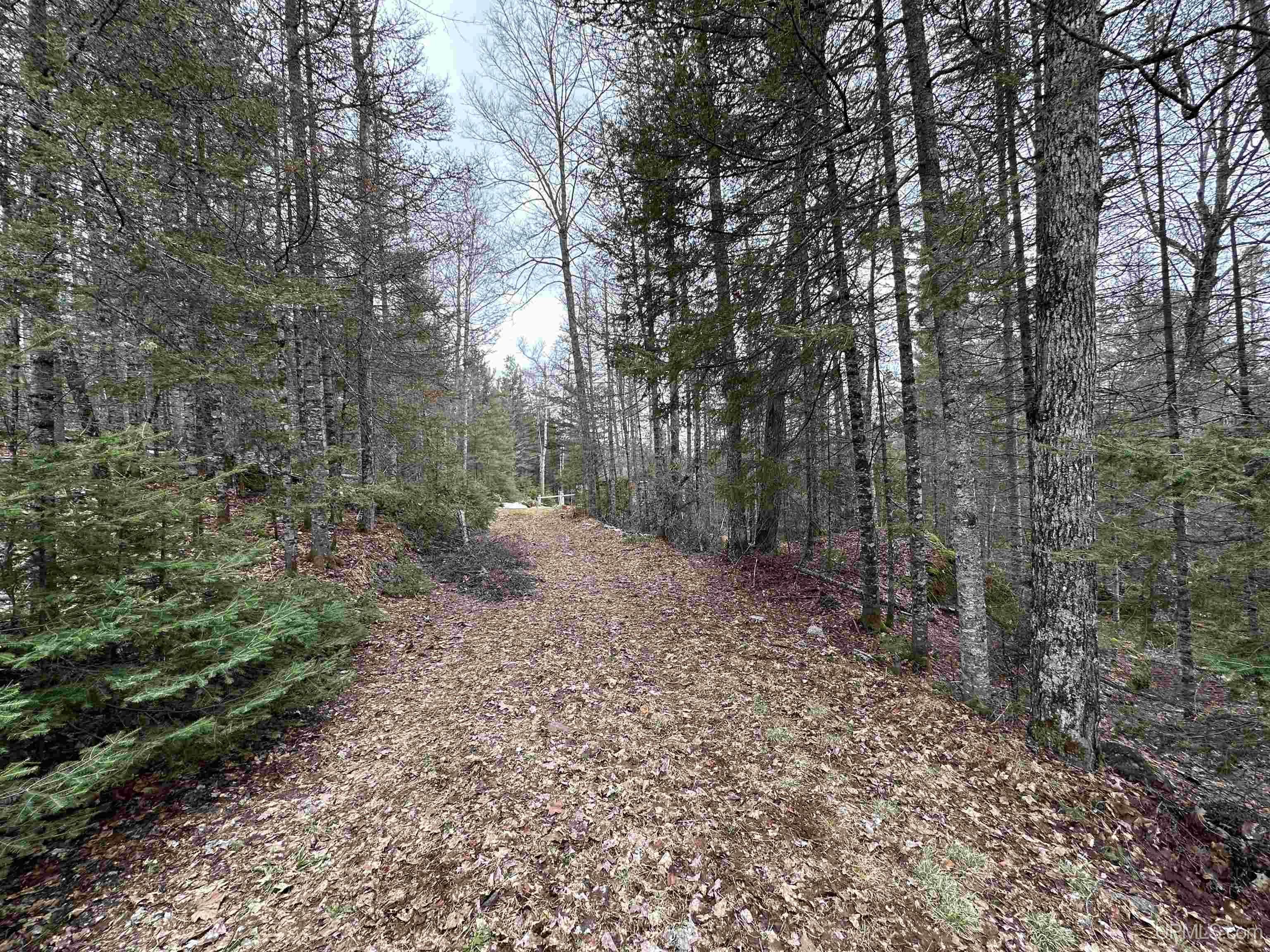 16627 Big Rock Rd Road, Champion, MI, 49814