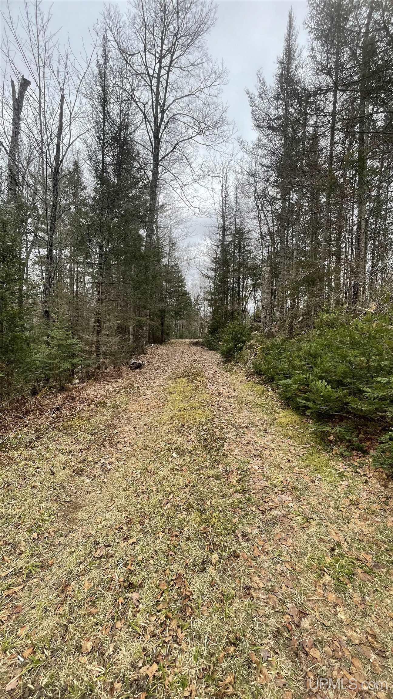 16627 Big Rock Rd Road, Champion, MI, 49814