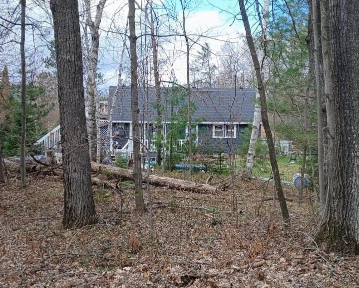1350 Springwood Drive, Prudenville, MI, 48651