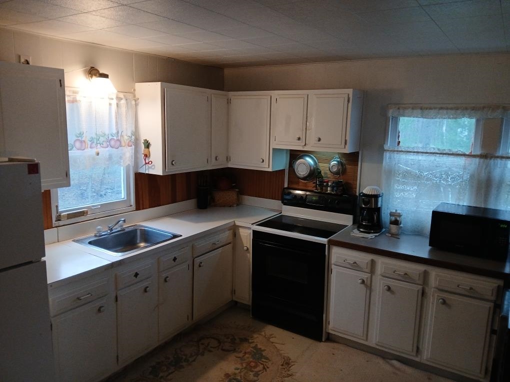 1350 Springwood Drive, Prudenville, MI, 48651