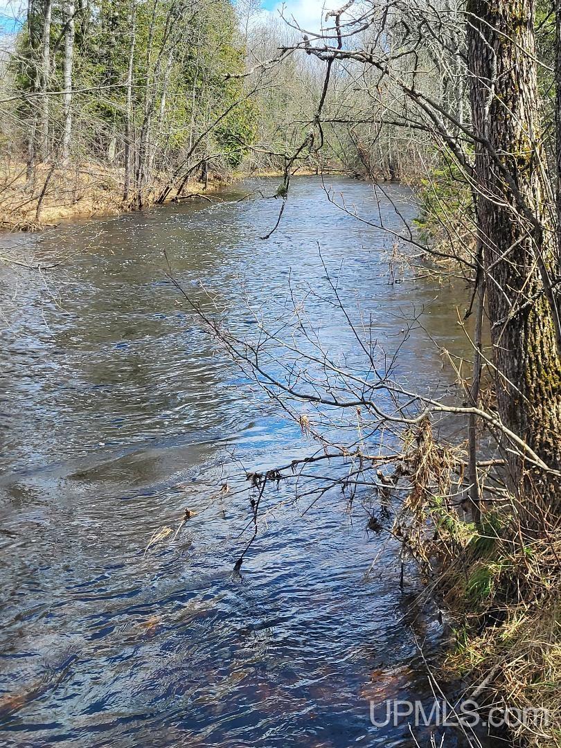Lot UNIT&nbsp;6 Northwoods Lane, Hardwood, MI, 49834