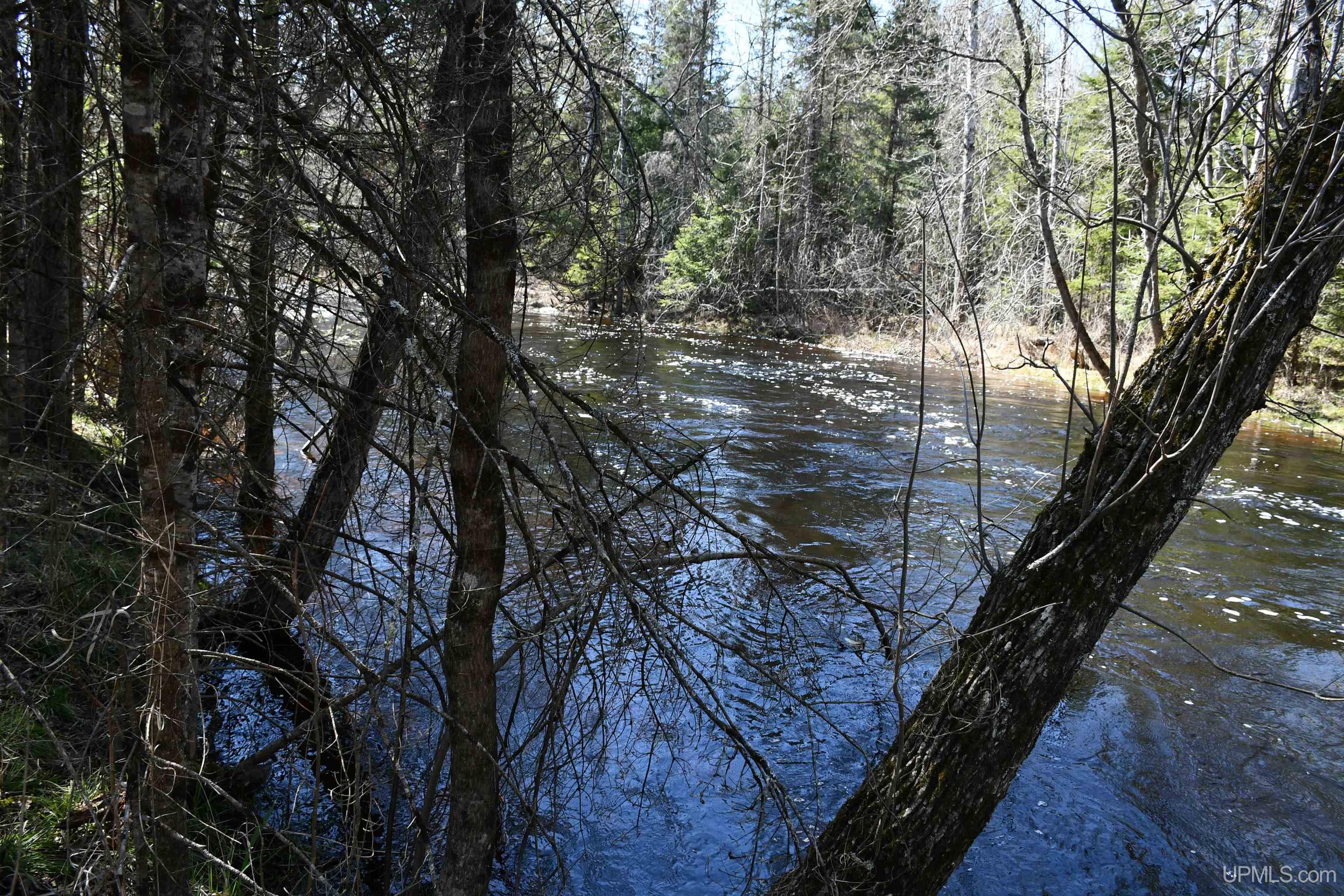 Lot UNIT&nbsp;6 Northwoods Lane, Hardwood, MI, 49834