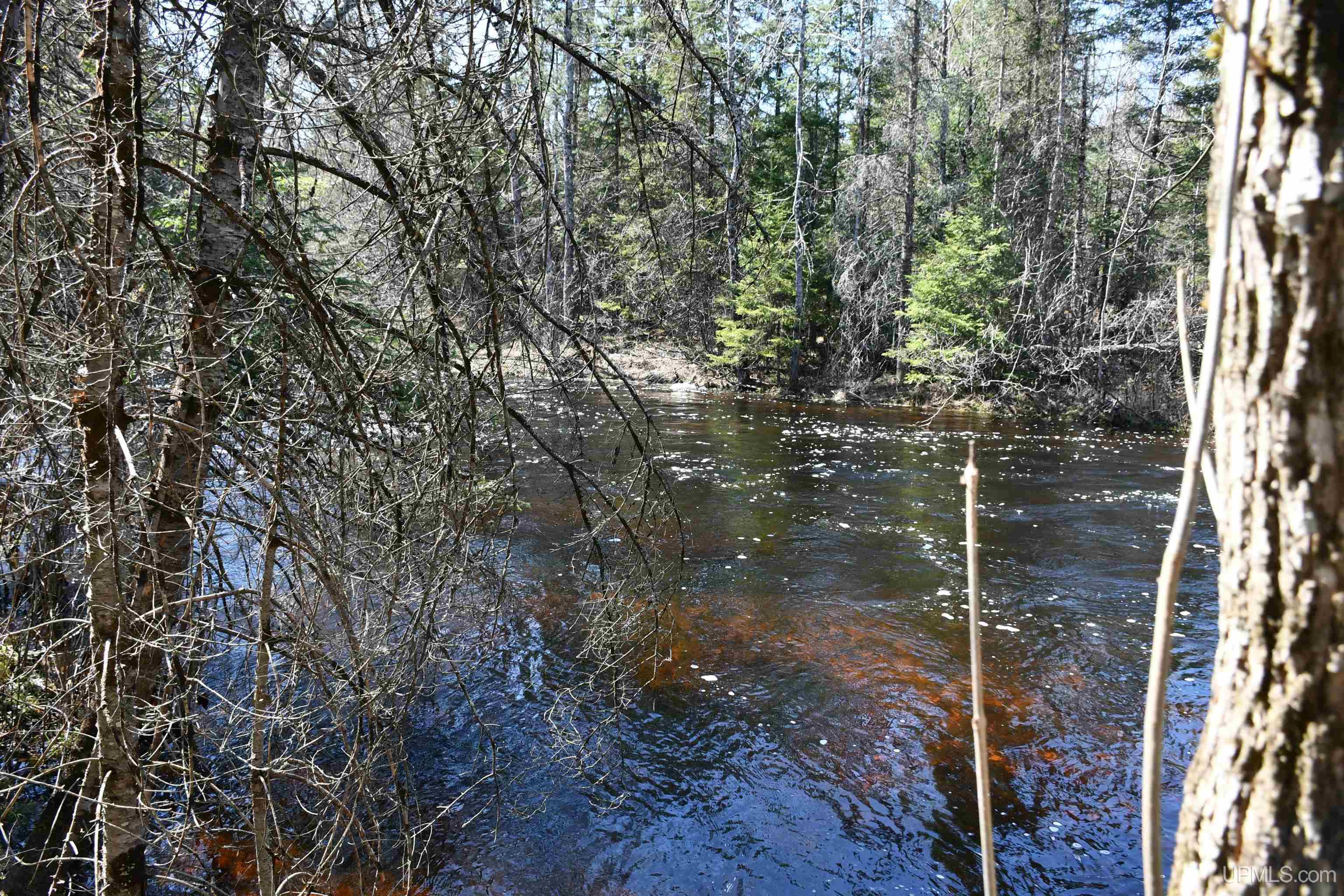 Lot UNIT&nbsp;6 Northwoods Lane, Hardwood, MI, 49834