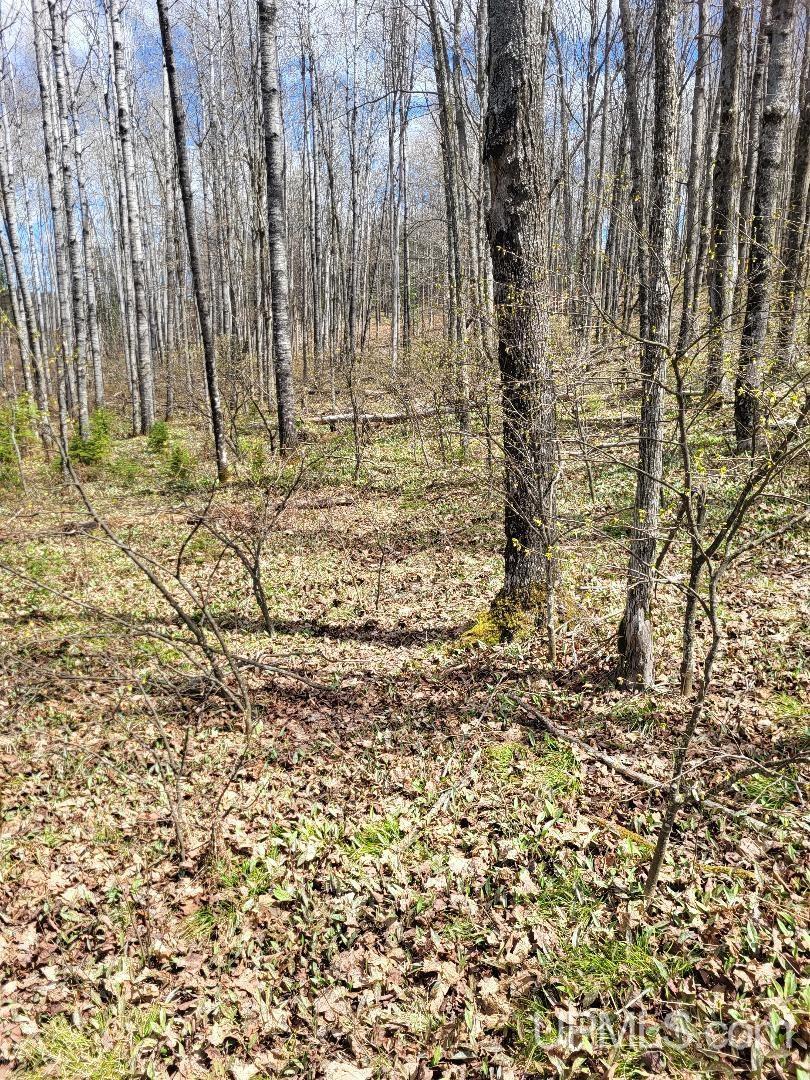 Lot UNIT&nbsp;6 Northwoods Lane, Hardwood, MI, 49834