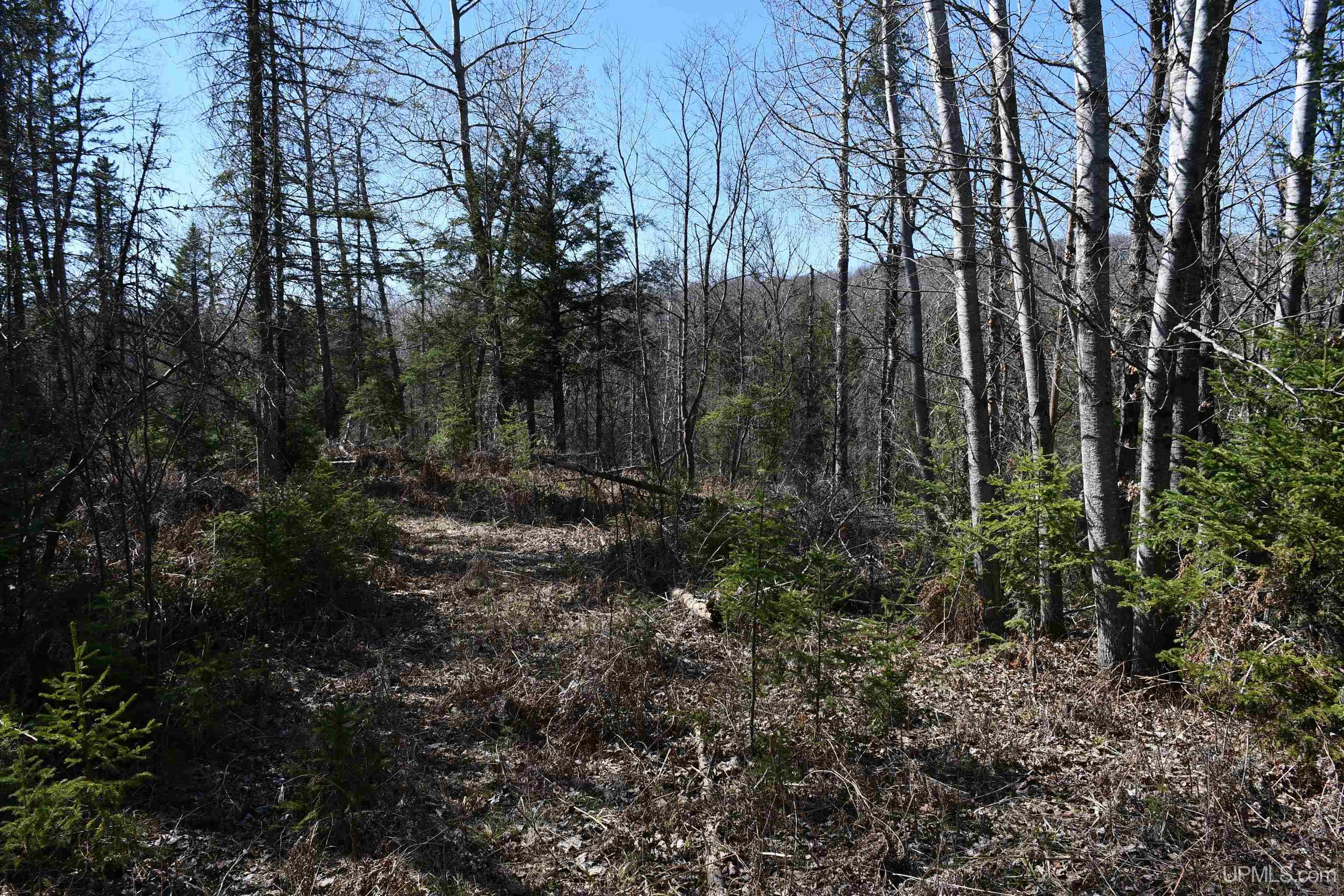 Lot UNIT&nbsp;6 Northwoods Lane, Hardwood, MI, 49834