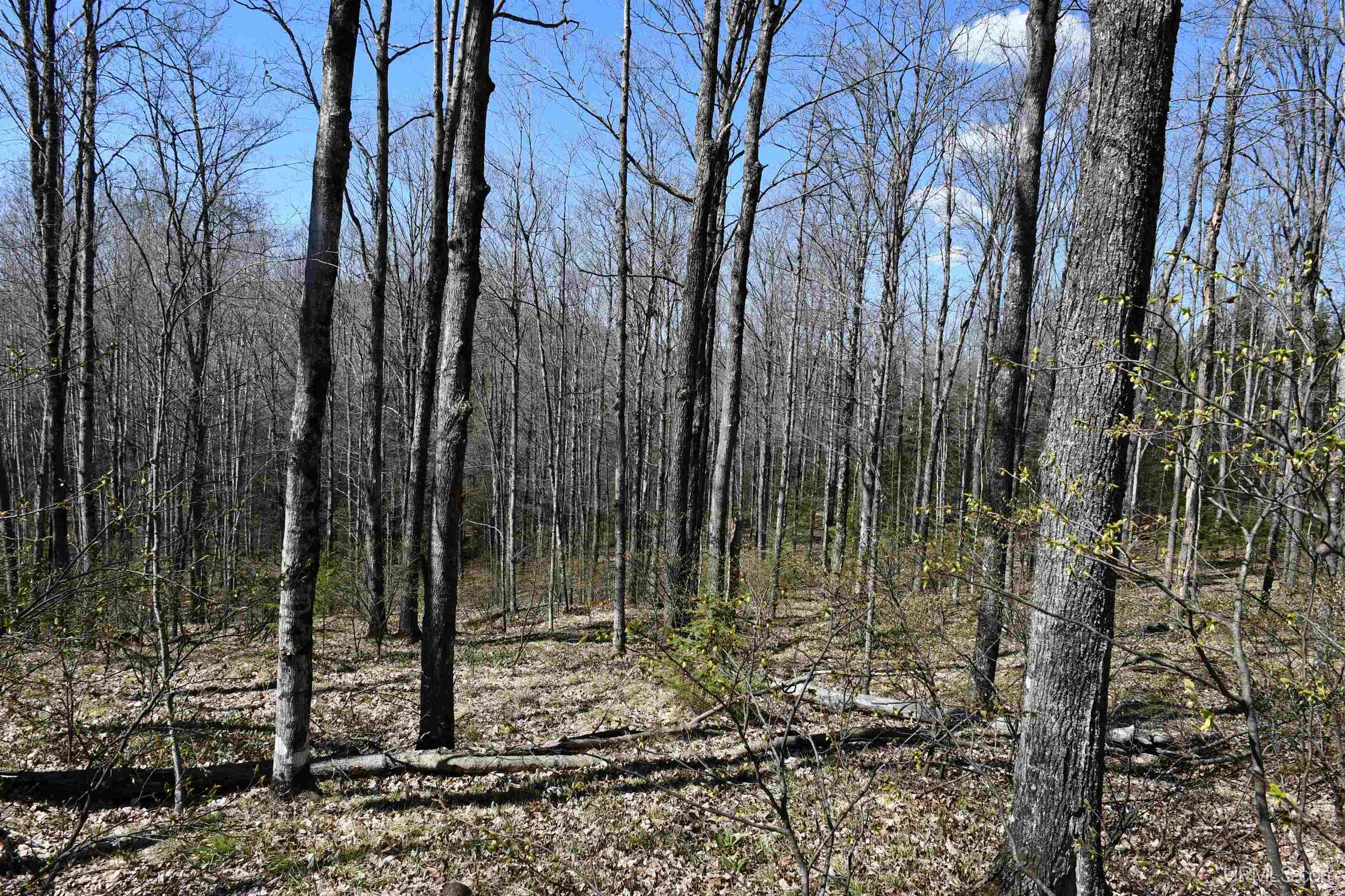 Lot UNIT&nbsp;6 Northwoods Lane, Hardwood, MI, 49834