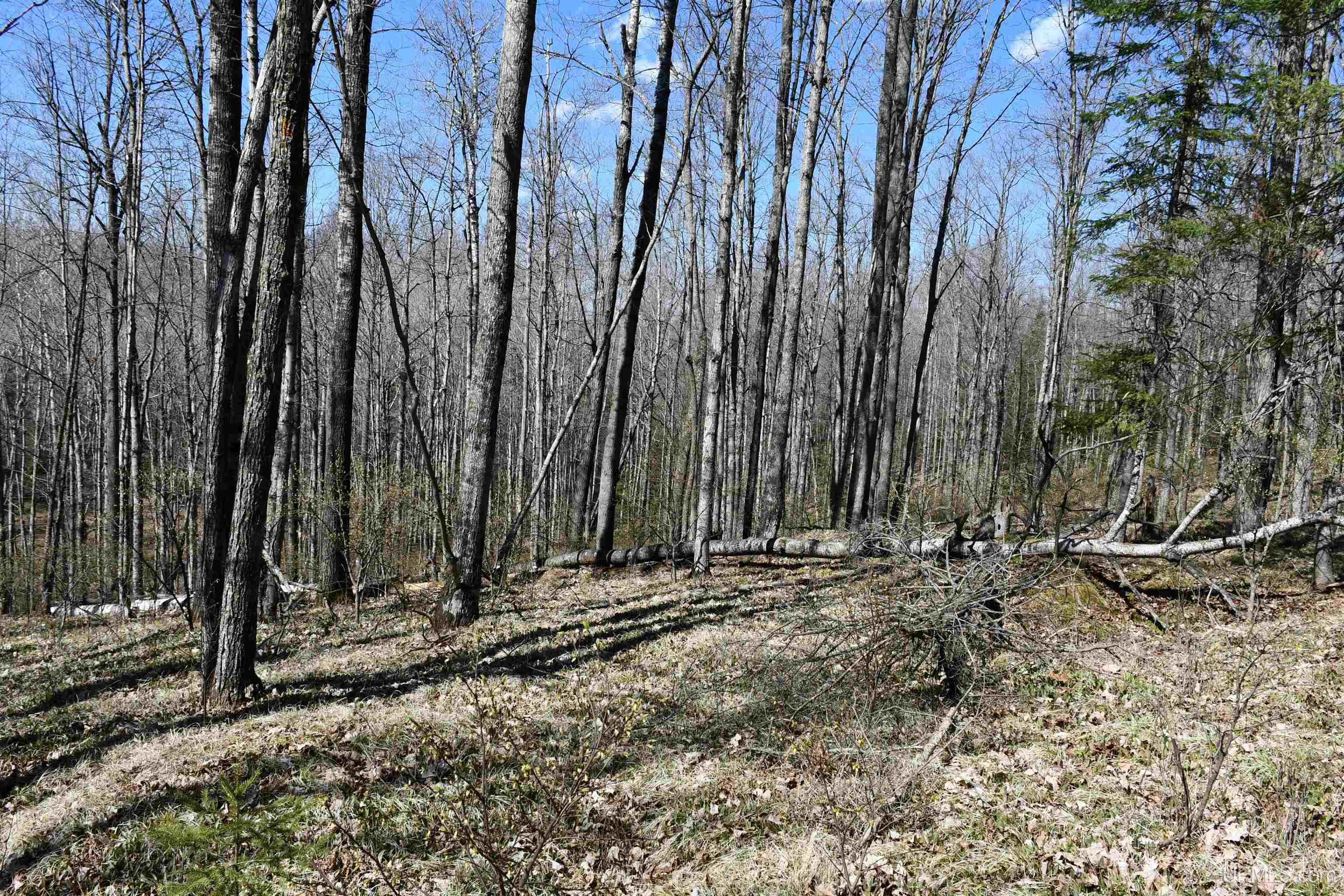 Lot UNIT&nbsp;6 Northwoods Lane, Hardwood, MI, 49834