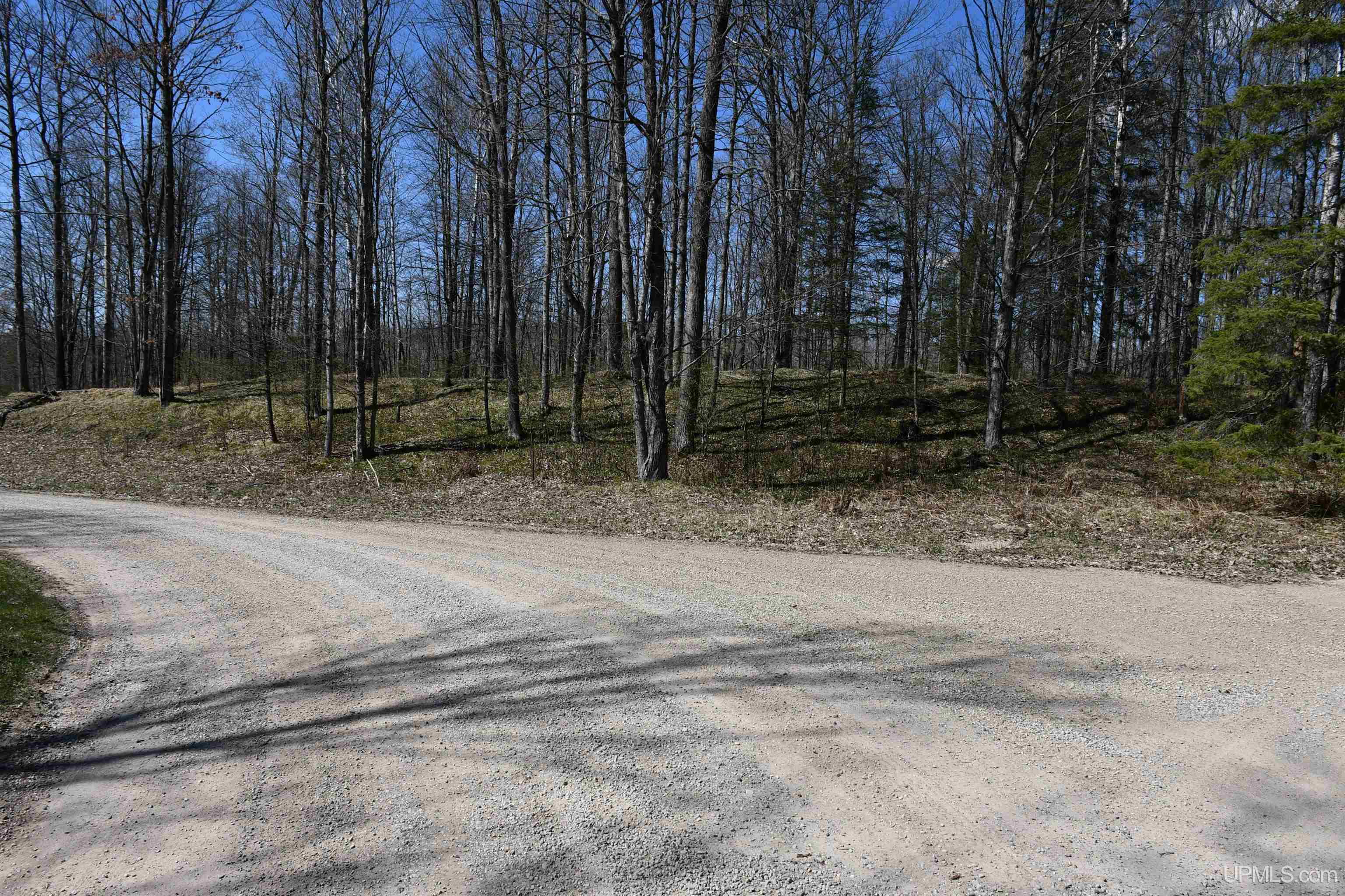Lot UNIT&nbsp;6 Northwoods Lane, Hardwood, MI, 49834