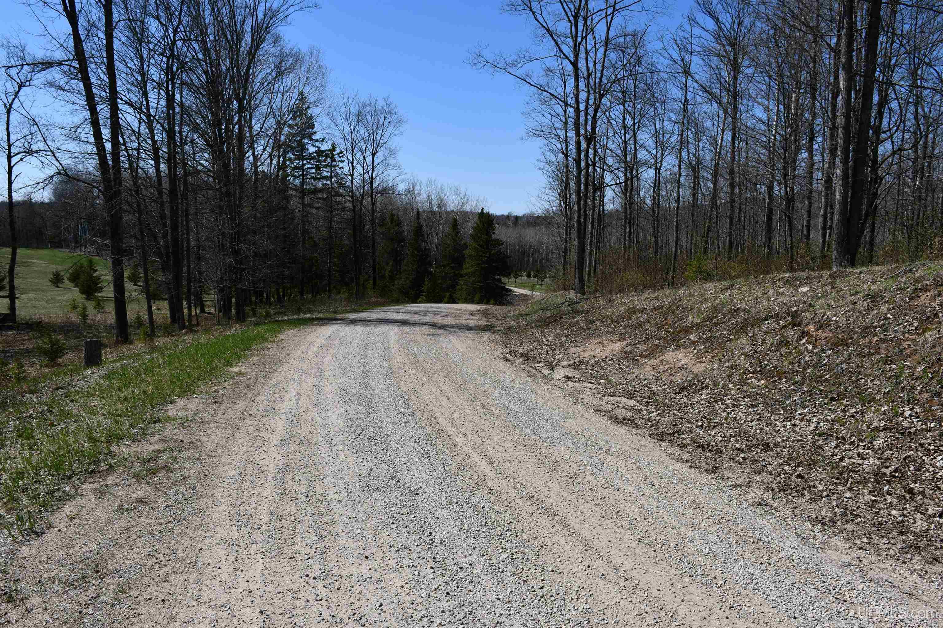 Lot UNIT&nbsp;6 Northwoods Lane, Hardwood, MI, 49834