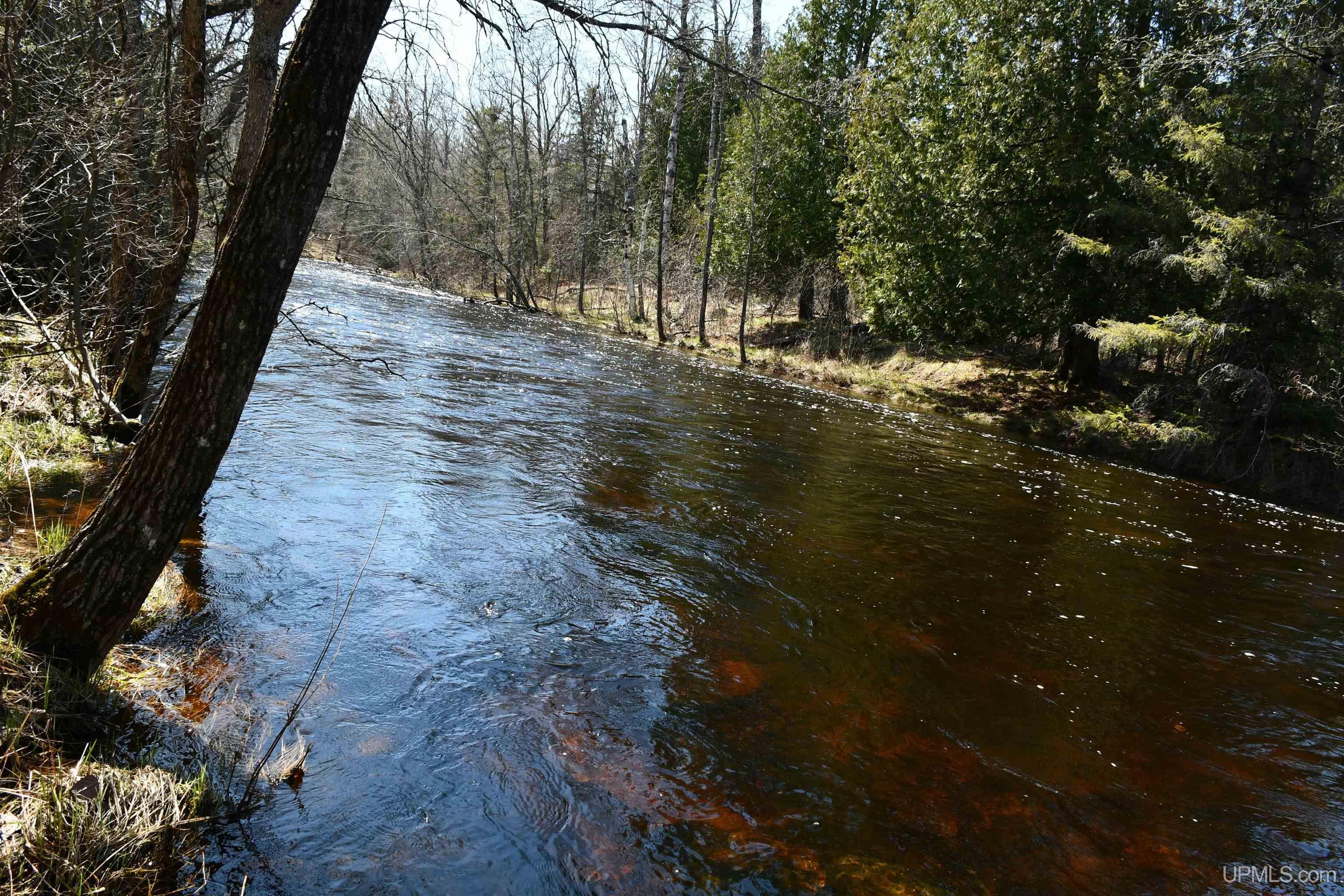 Lot UNIT&nbsp;6 Northwoods Lane, Hardwood, MI, 49834