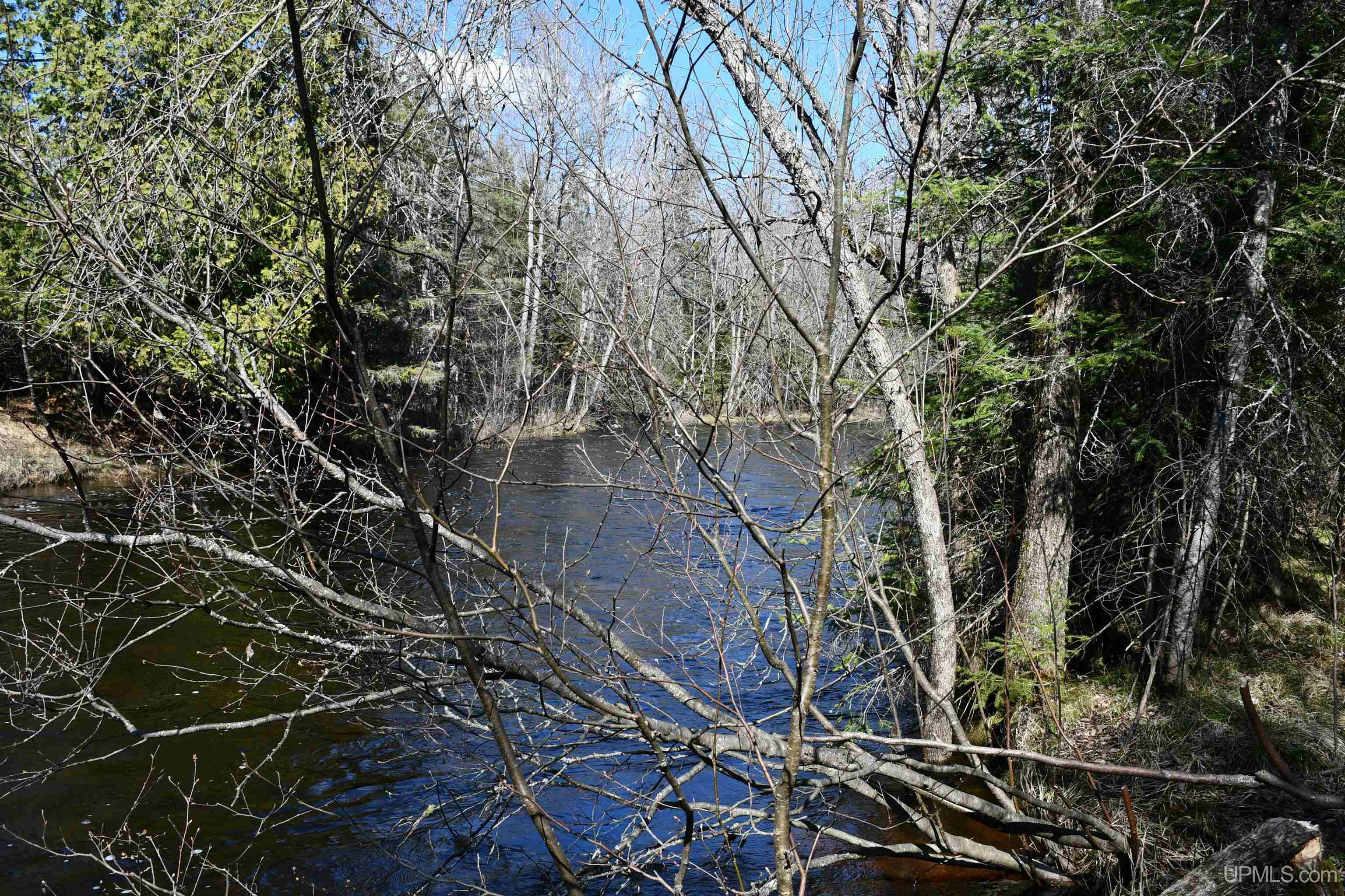 Lot UNIT&nbsp;6 Northwoods Lane, Hardwood, MI, 49834