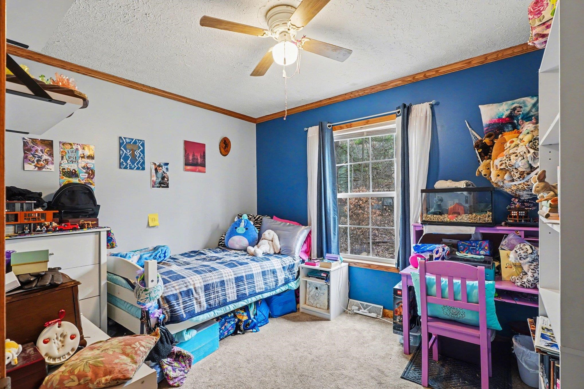 6620 Sandy Ridge Drive, Hope, MI, 48628