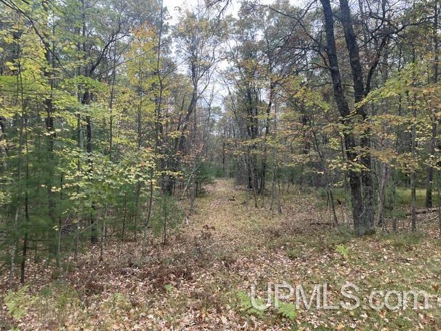 W9808 Trout Haven Road, Dunbar T-wi, WI, 54119