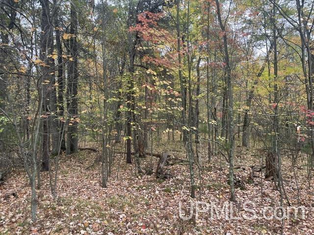 W9808 Trout Haven Road, Dunbar T-wi, WI, 54119