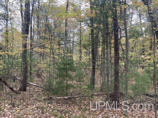 W9808 Trout Haven Road, Dunbar T-wi, WI, 54119