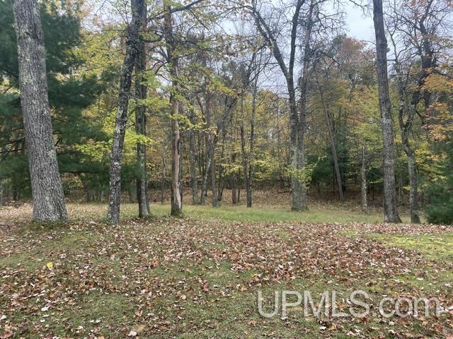W9808 Trout Haven Road, Dunbar T-wi, WI, 54119