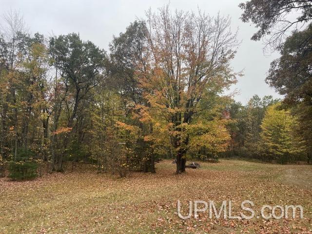 W9808 Trout Haven Road, Dunbar T-wi, WI, 54119
