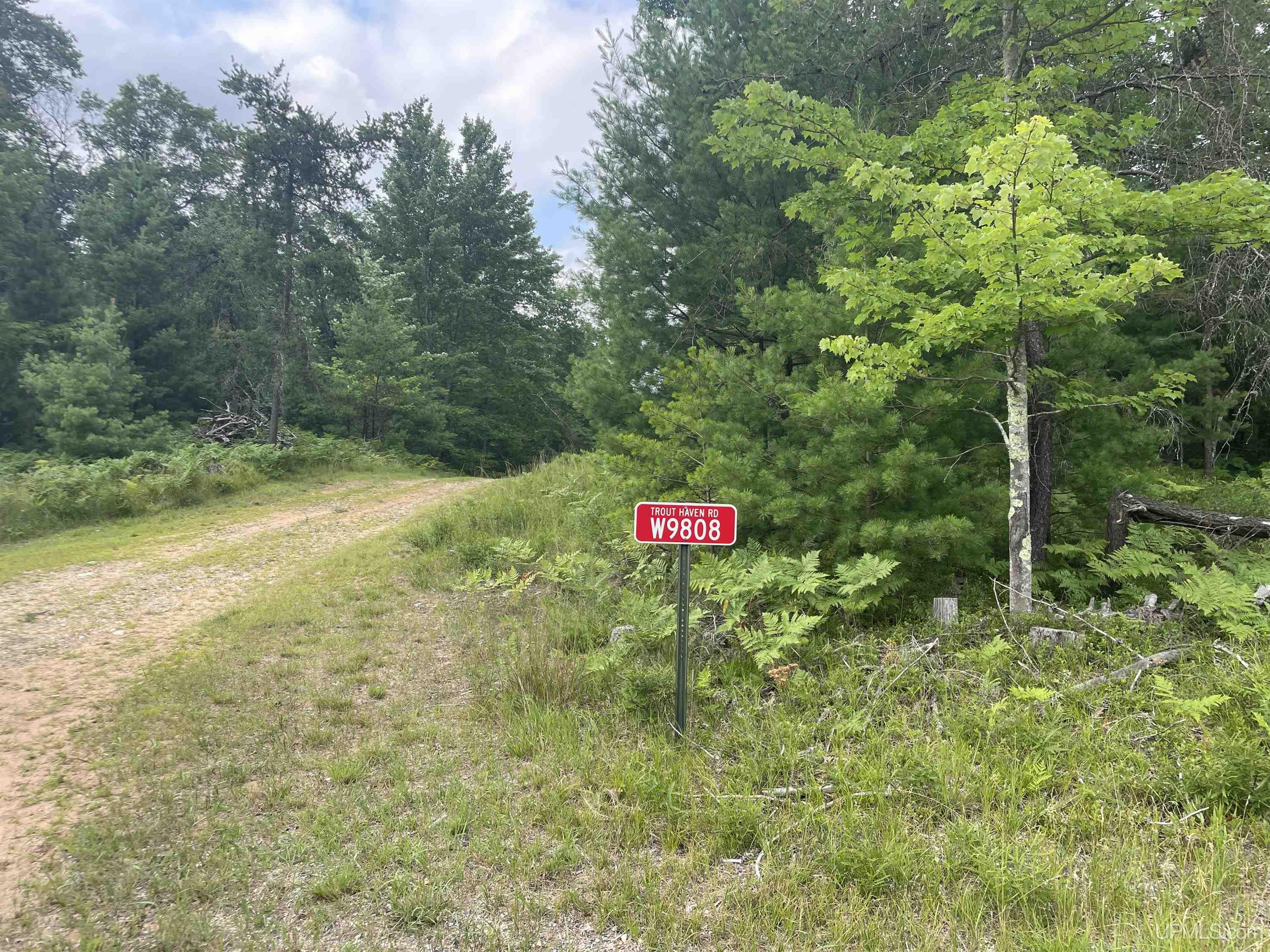 W9808 Trout Haven Road, Dunbar T-wi, WI, 54119