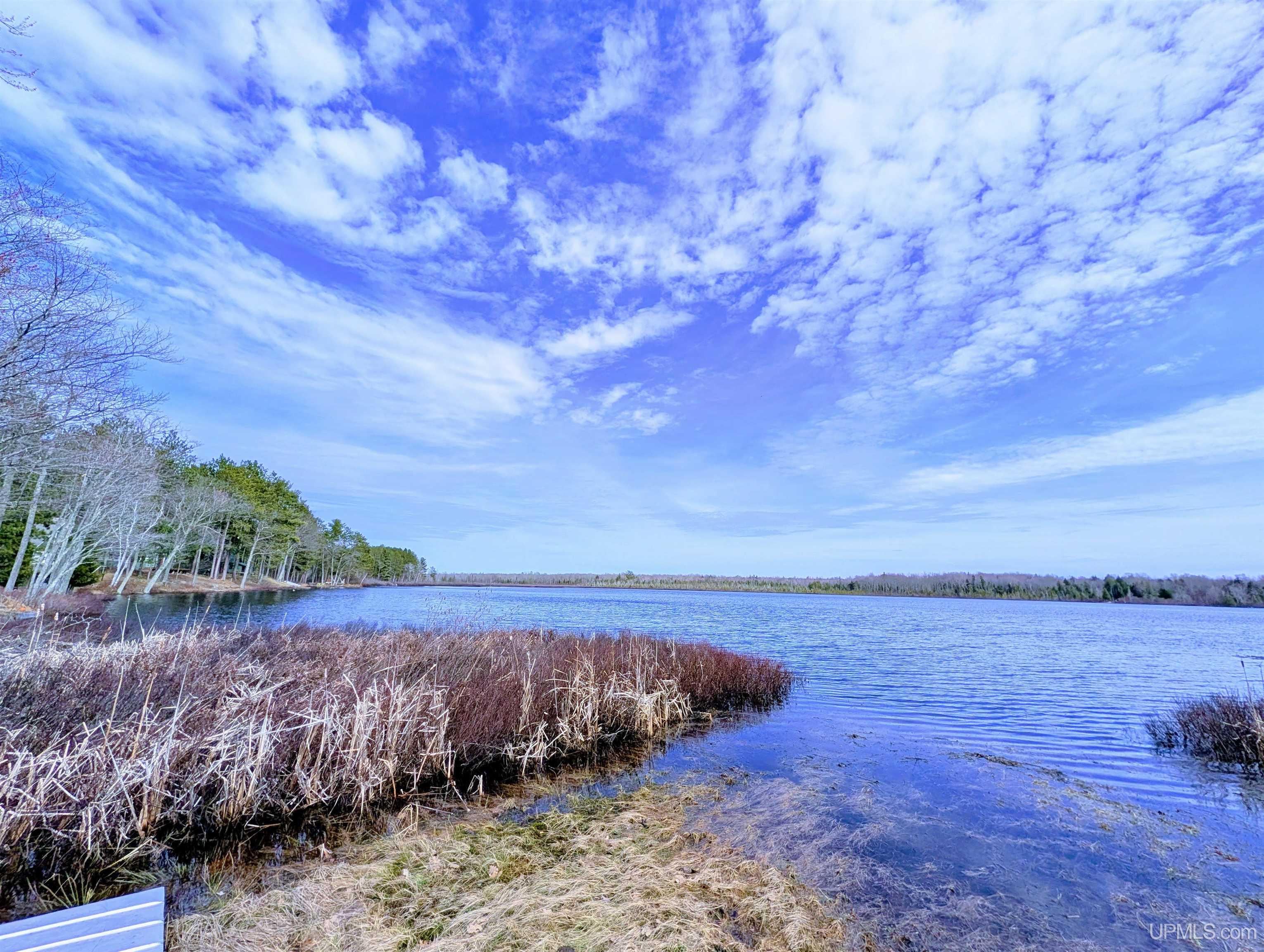 MLS 50206265 Large photo number 5 