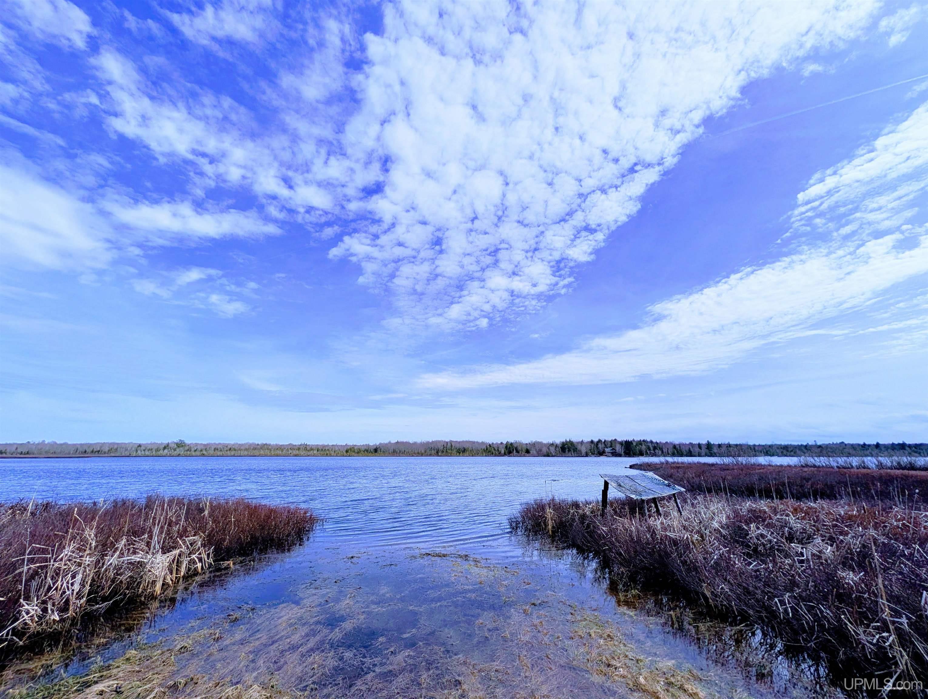 MLS 50206265 Large photo number 6 