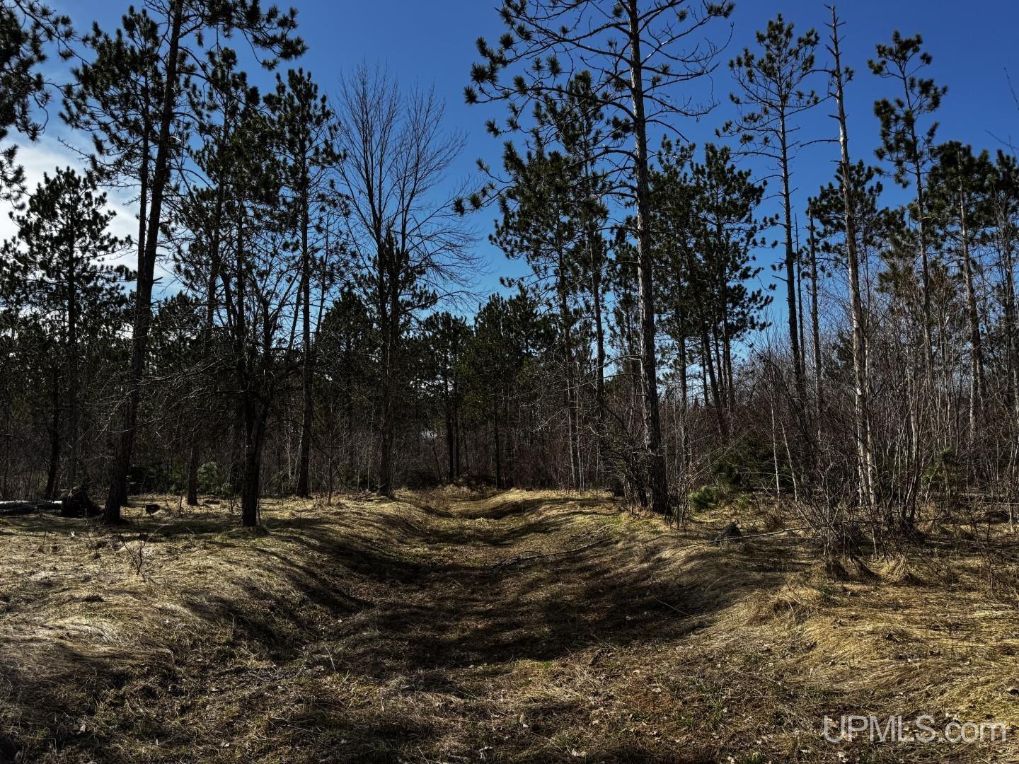 MLS 50206326 Large photo number 20 