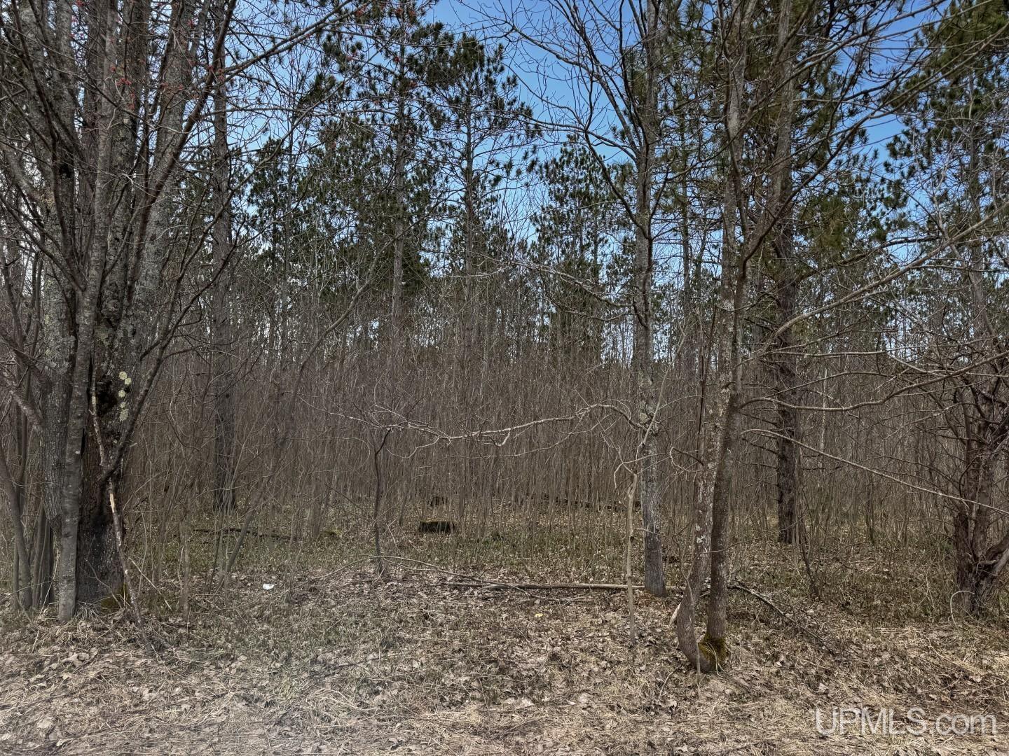 MLS 50206326 Large photo number 23 