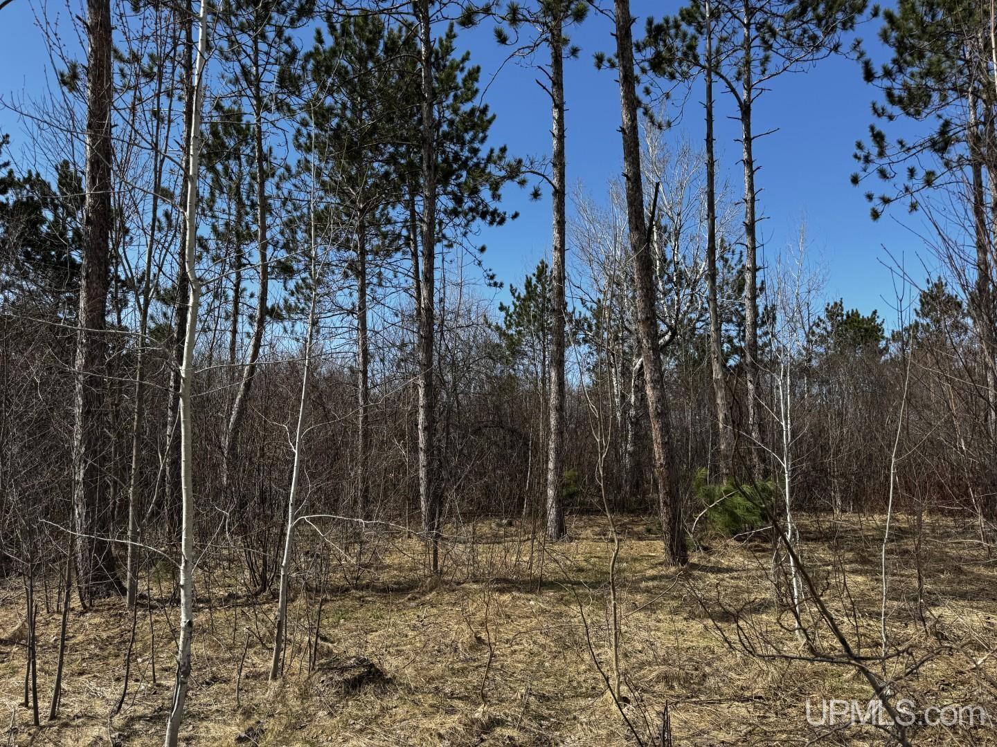 MLS 50206326 Large photo number 4 