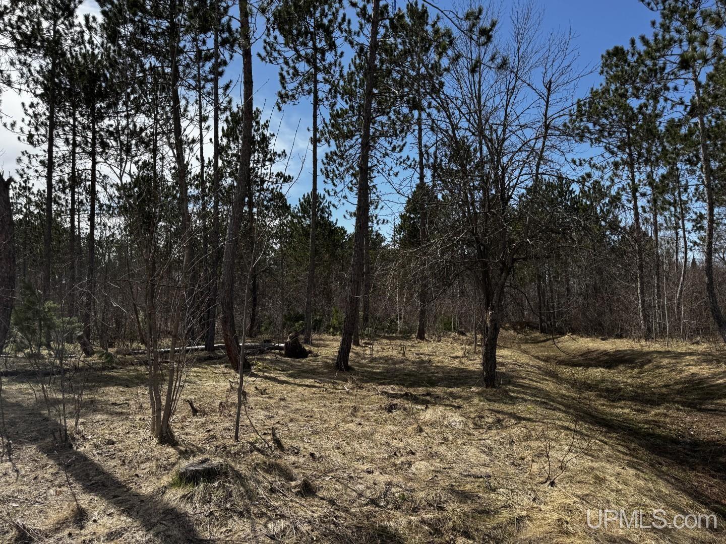 MLS 50206326 Large photo number 5 