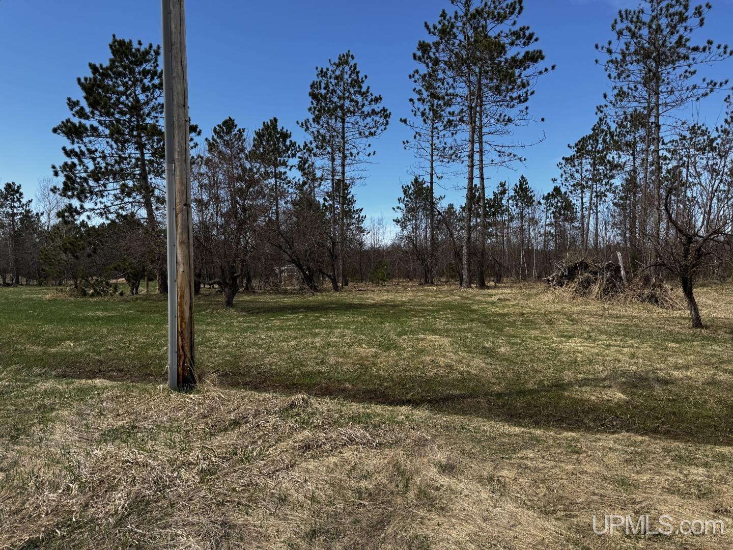 MLS 50206326 Large photo number 7 