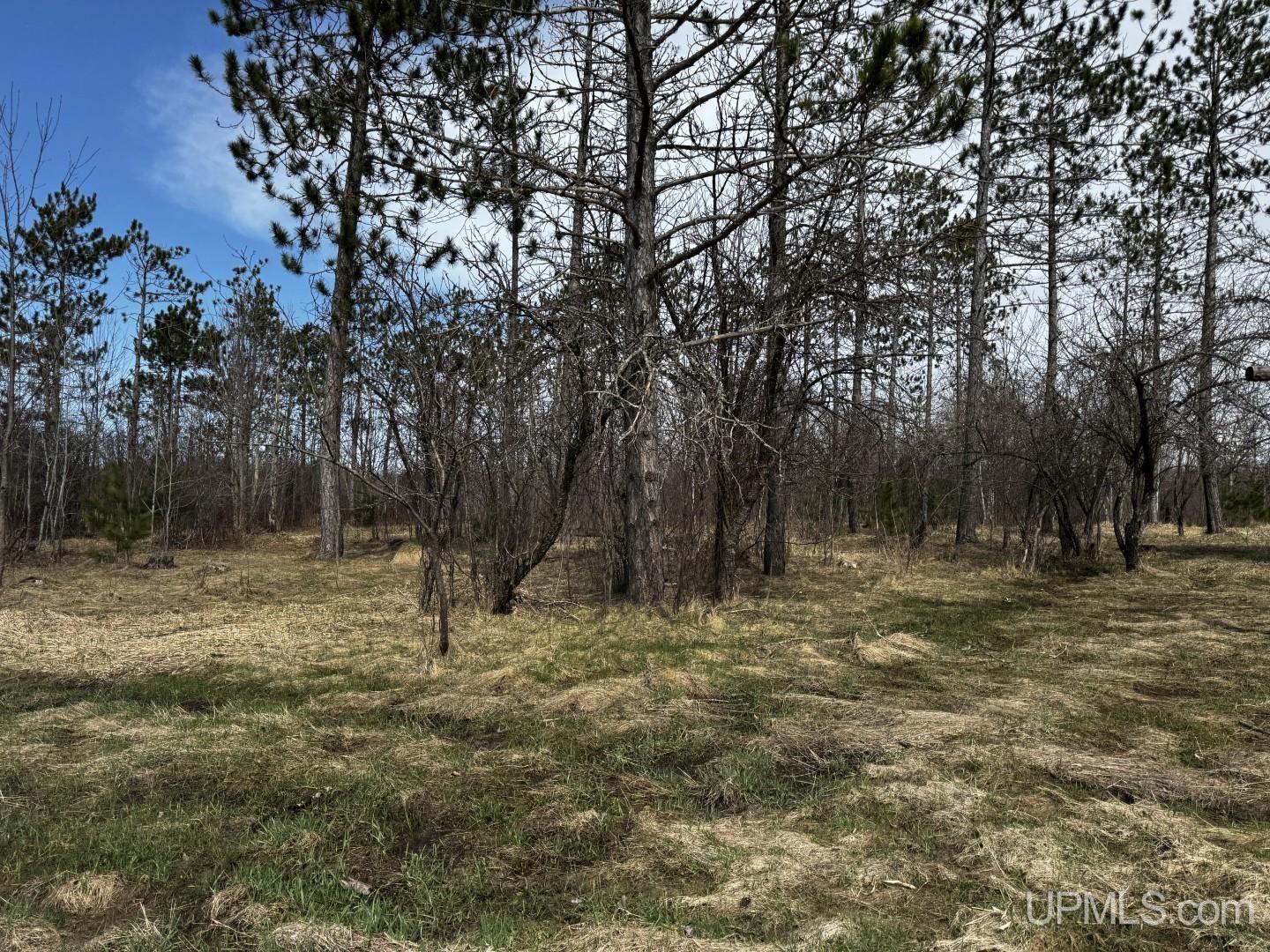 MLS 50206326 Large photo number 10 