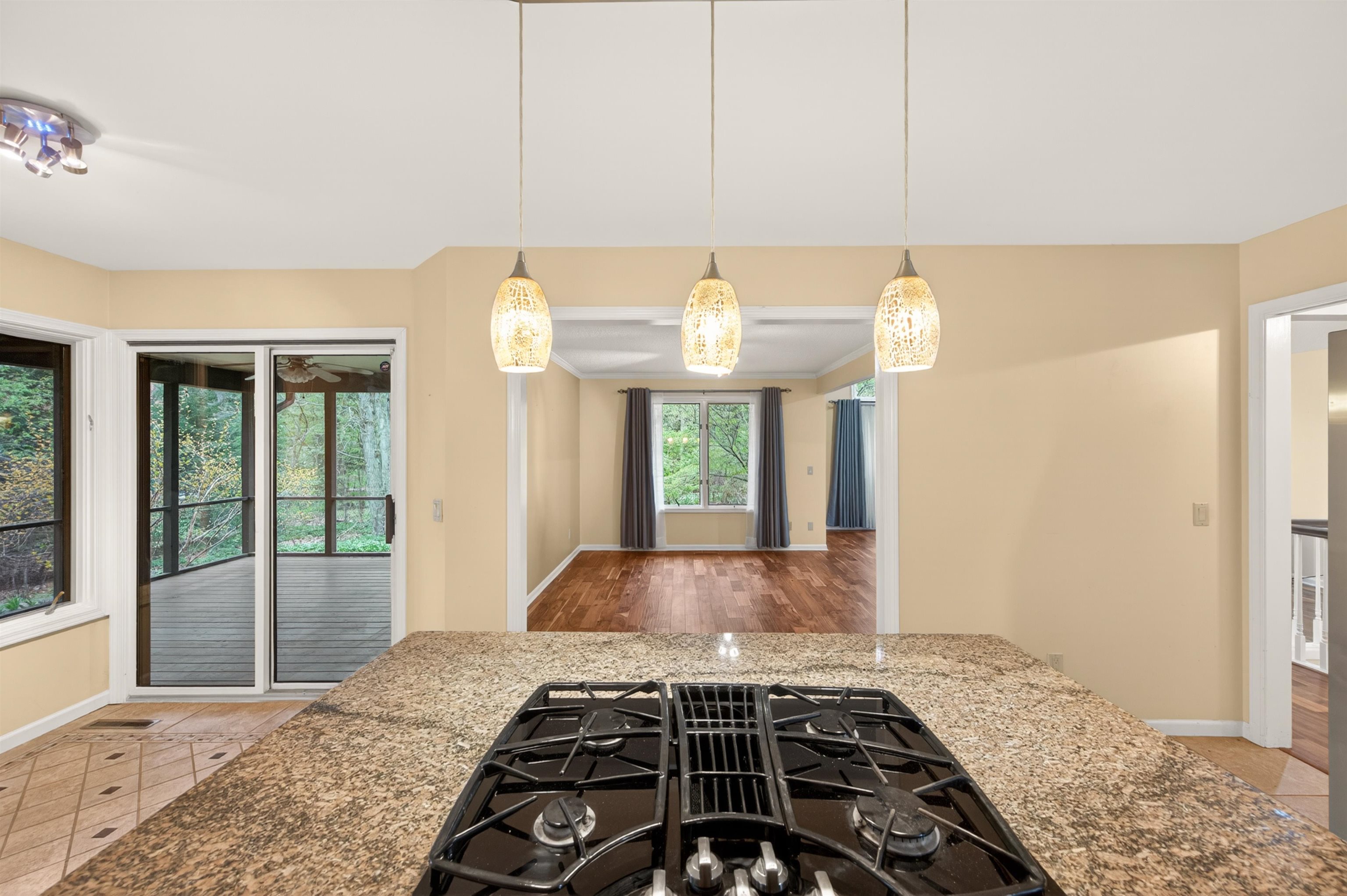 2209 Mapleleaf Drive, Midland, IN, 46640