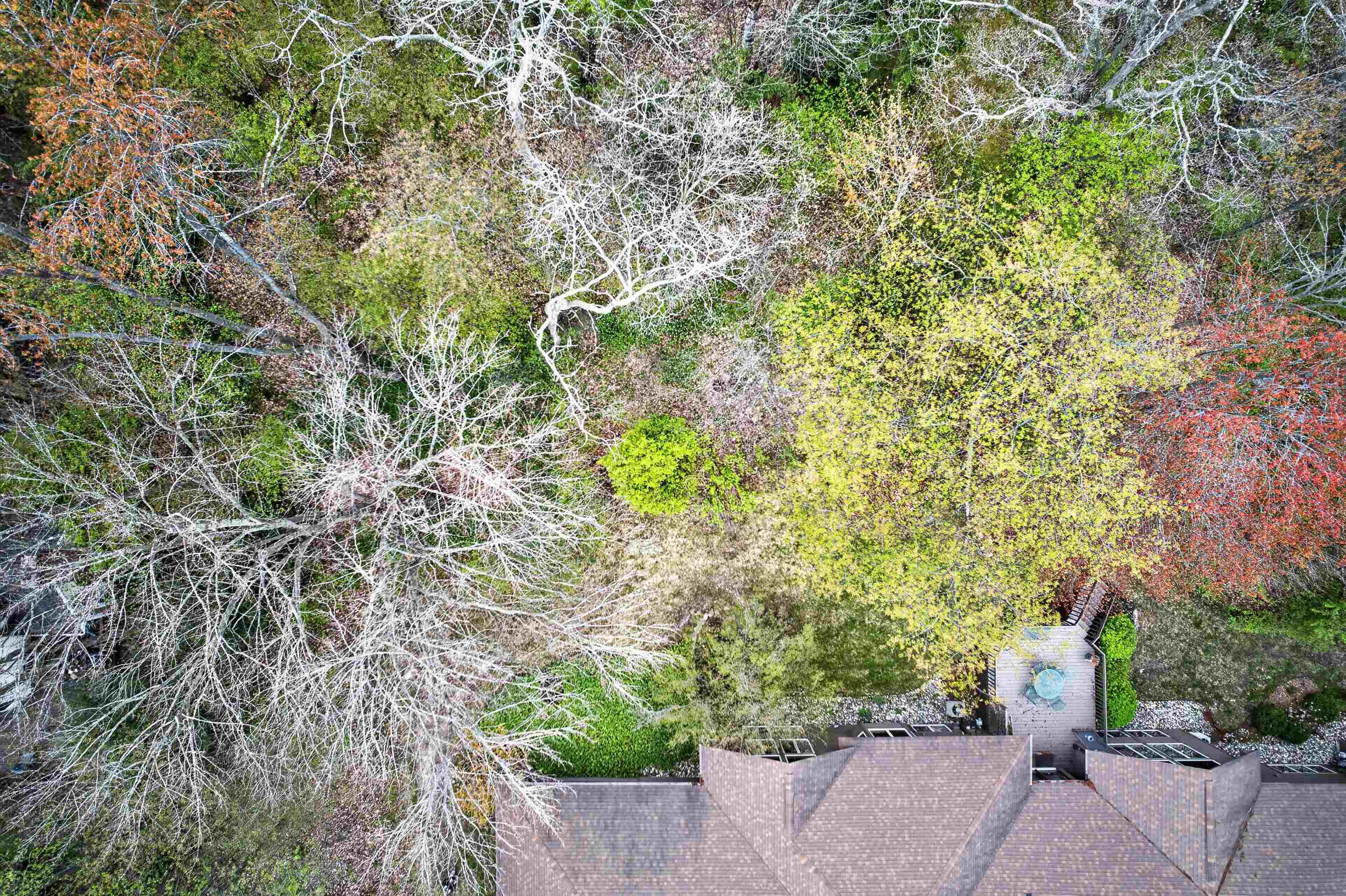 2209 Mapleleaf Drive, Midland, IN, 46640