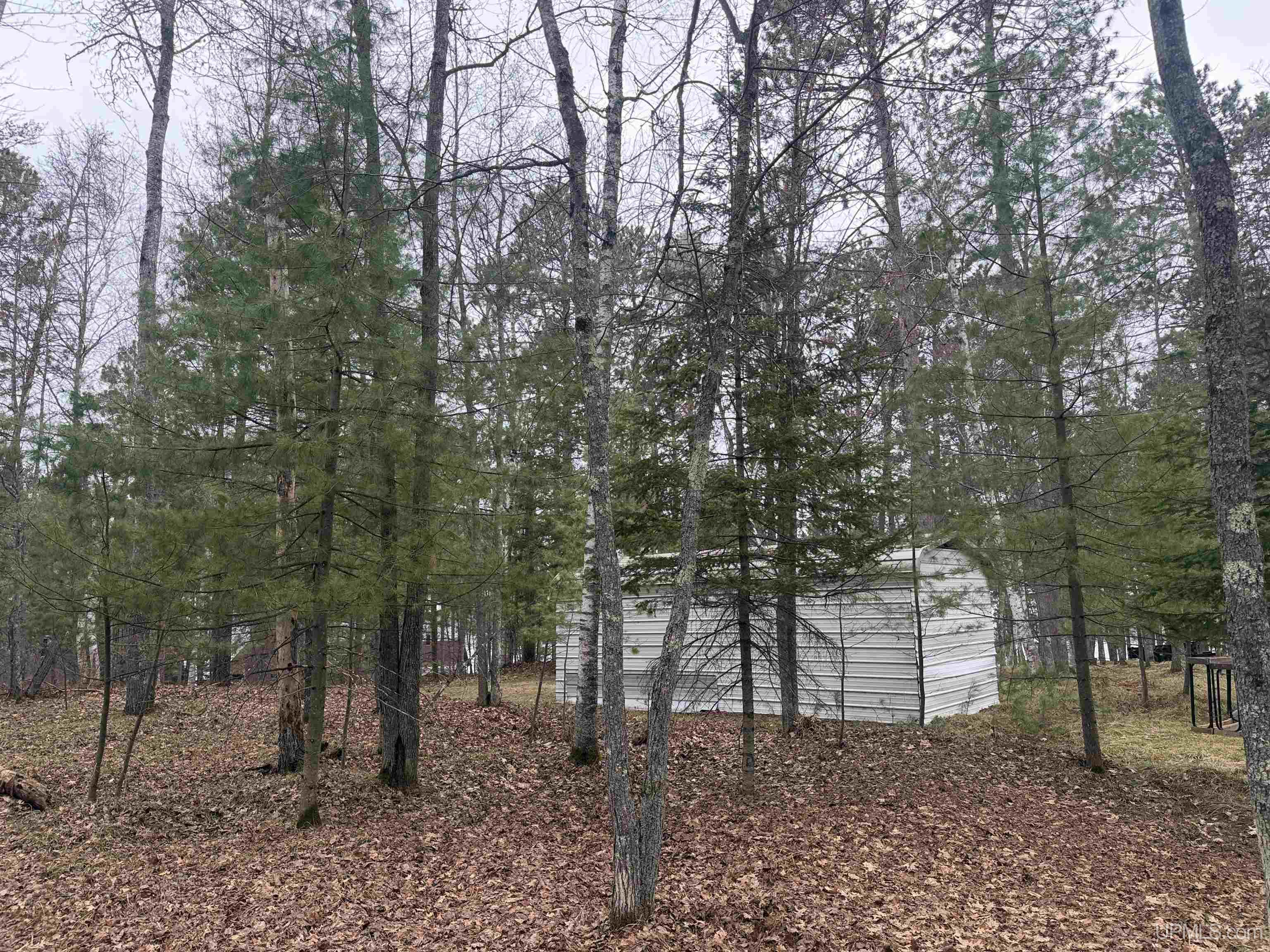 1066 Cedaroma Drive, Abor Vitae T-wi, WI, 54558-1111