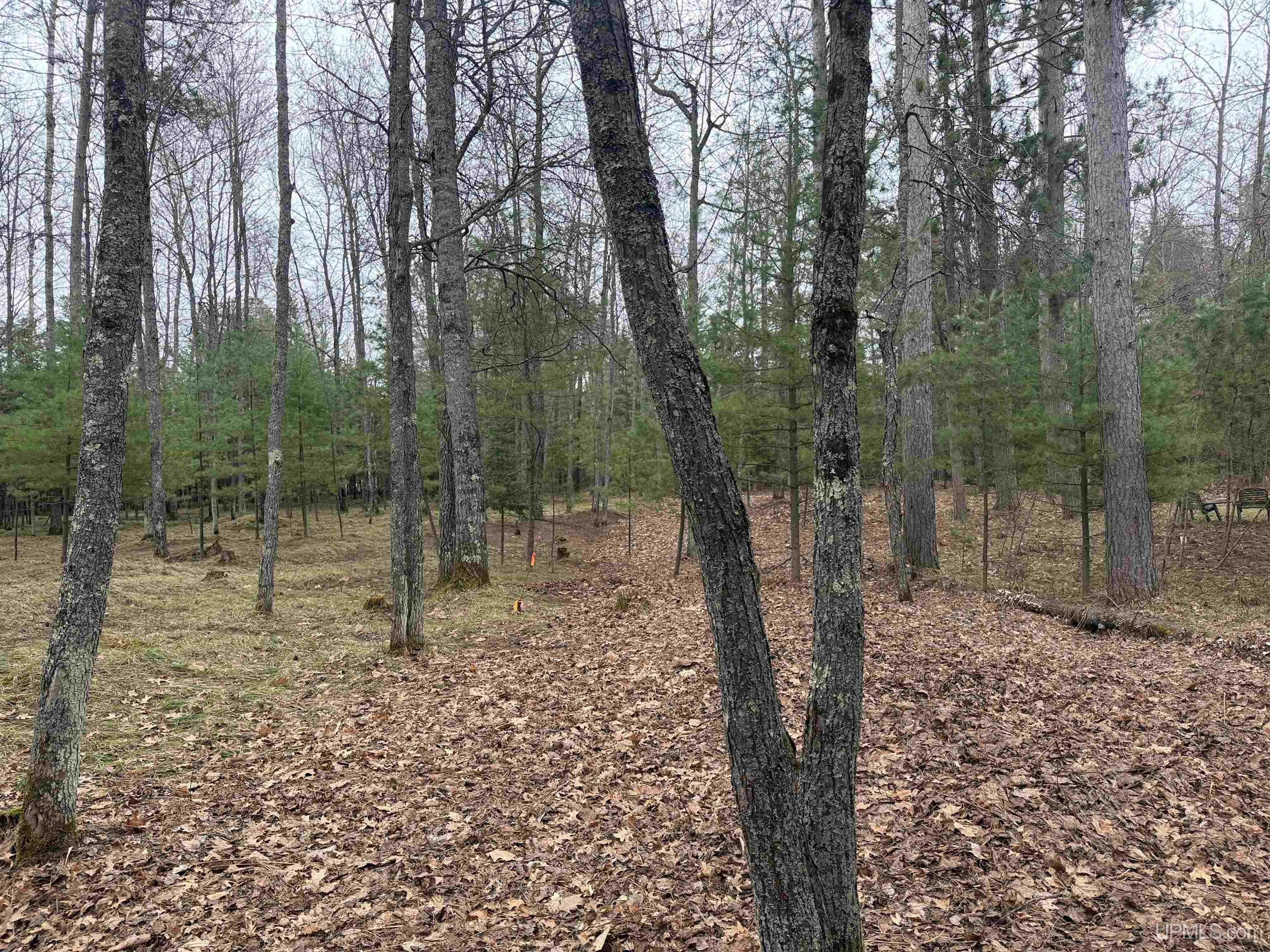 1066 Cedaroma Drive, Abor Vitae T-wi, WI, 54558-1111
