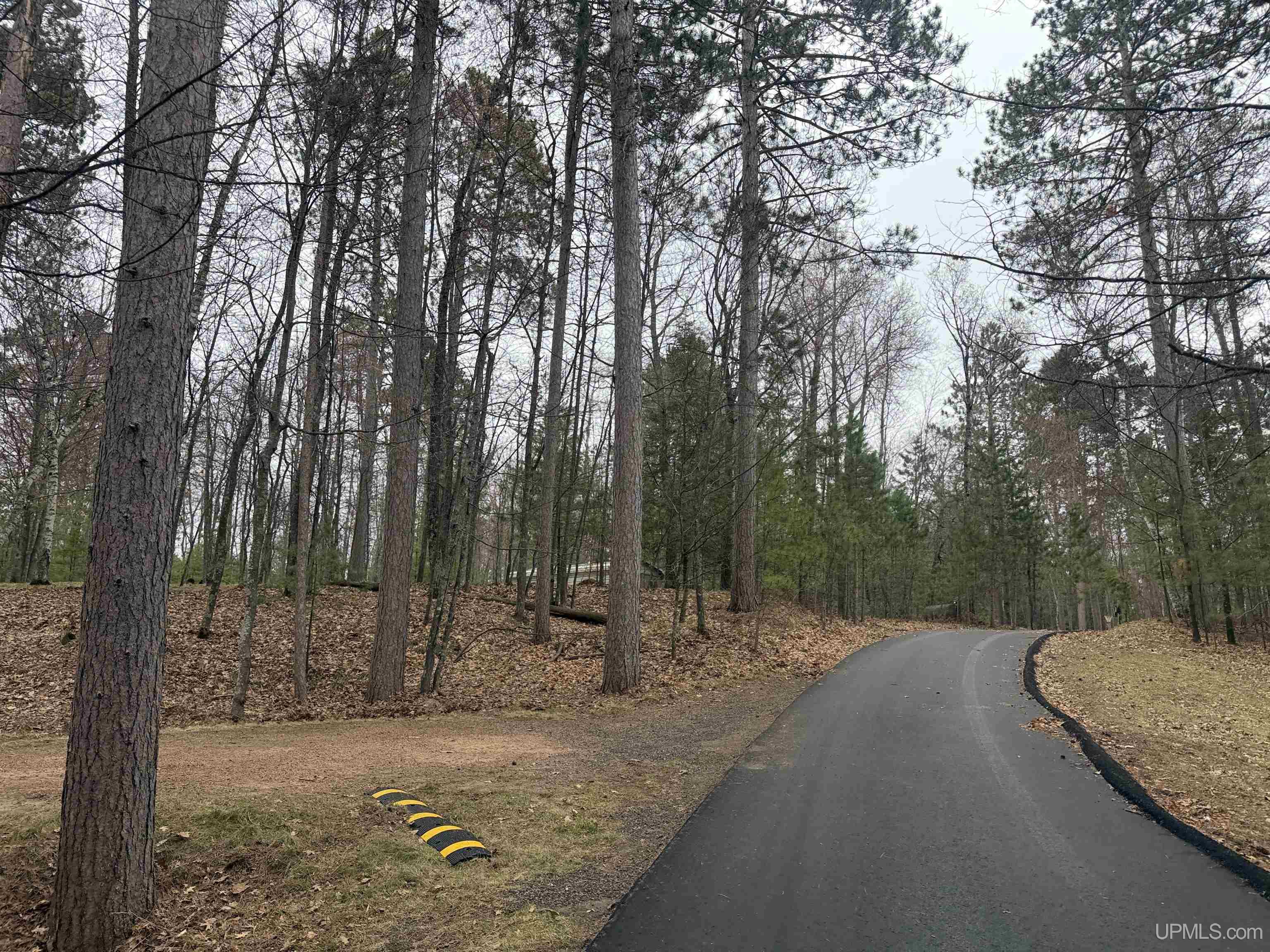 1066 Cedaroma Drive, Abor Vitae T-wi, WI, 54558-1111