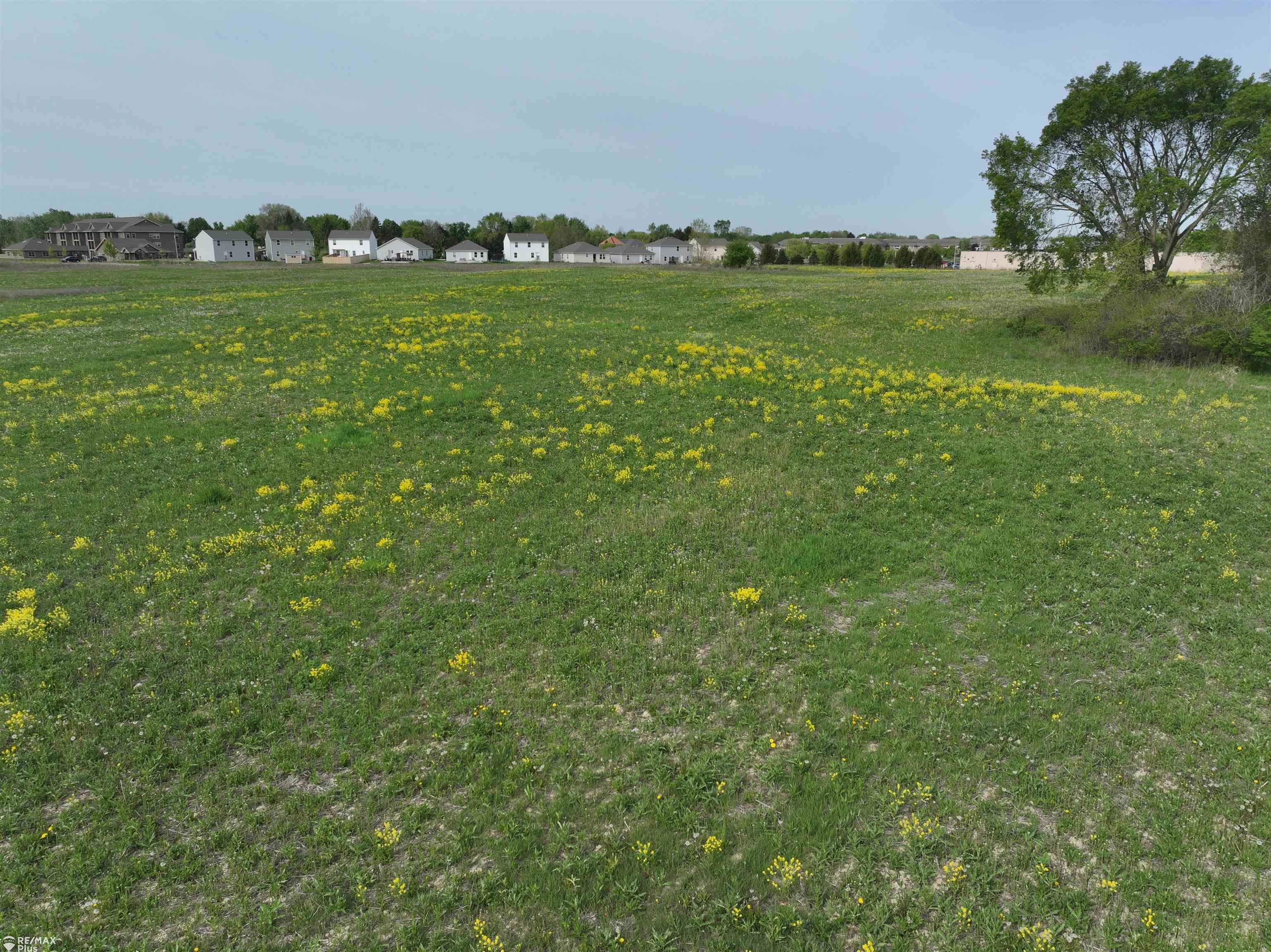 Woodbridge Park Avenue photo 13