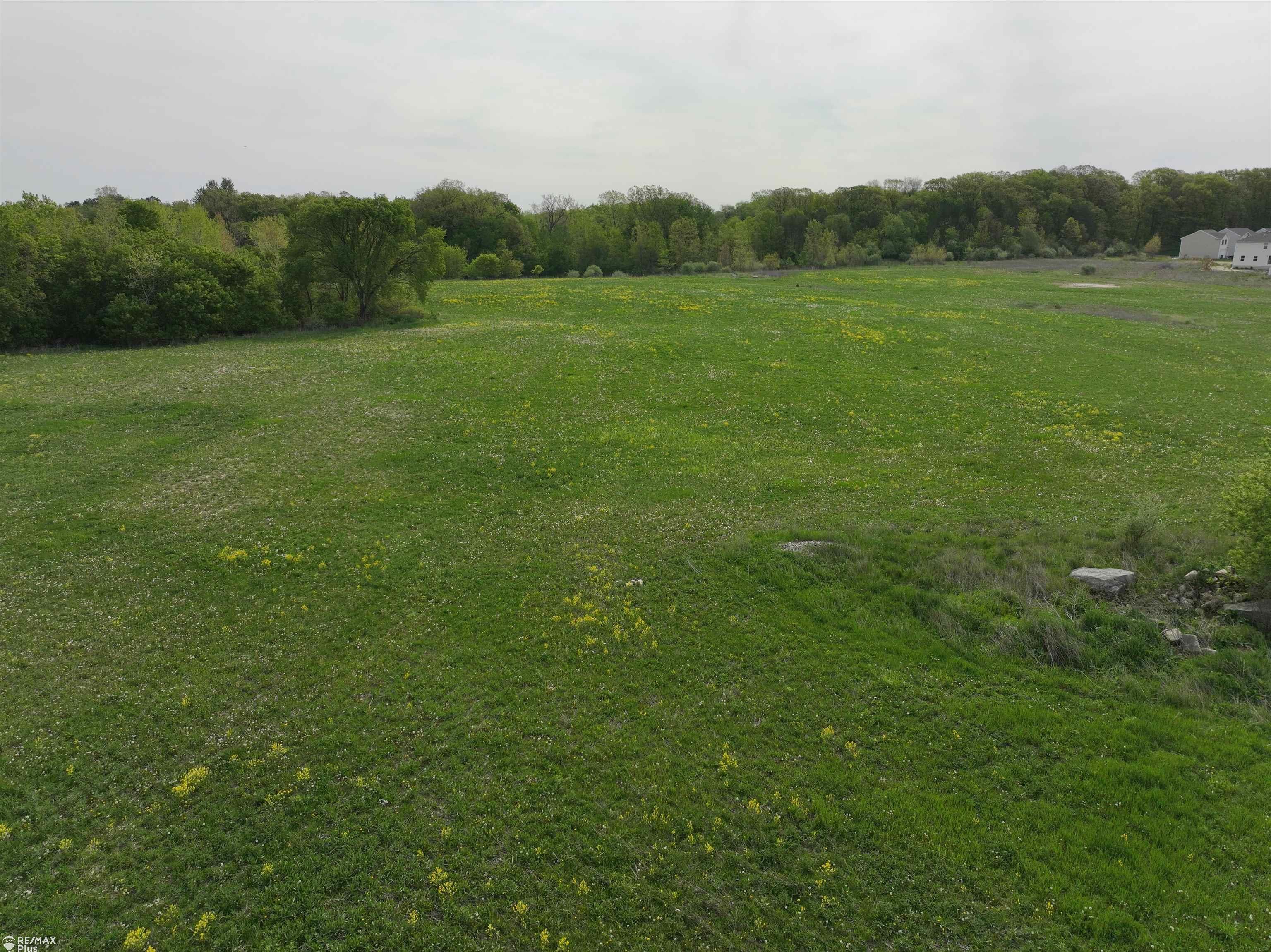 Woodbridge Park Avenue photo 15