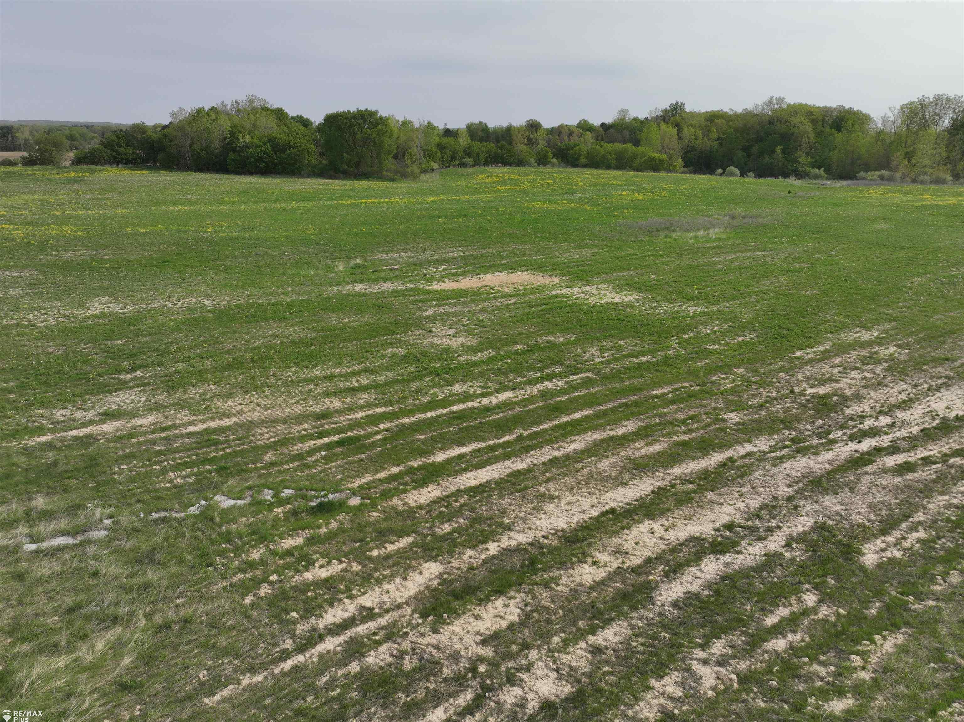 Woodbridge Park Avenue photo 5